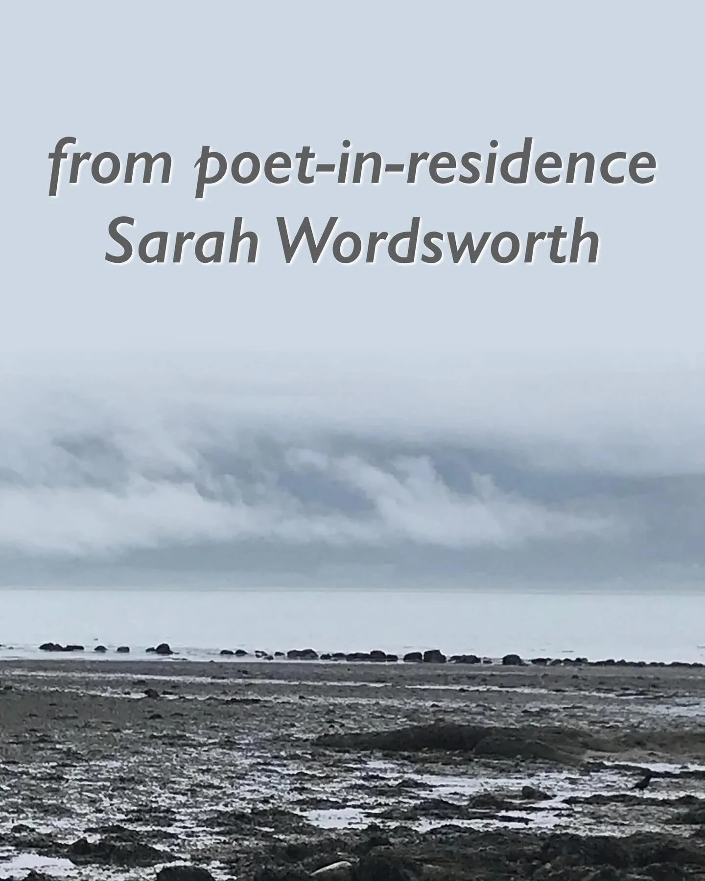 The Illusion of Water
From Poet-in-Residence Sarah Wordsworth. 

Join her on substack: @joyousrebellion
Insta: @sarah.wordsworth.creative
Web: creative-wellbeing.co.uk

She writes: 

It is 10am and we are shrouded in mist. I can only just see the bou