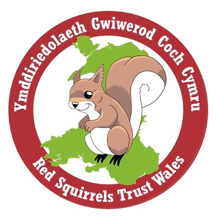 logo_sgwâr_gwiwerod coch.jpg
