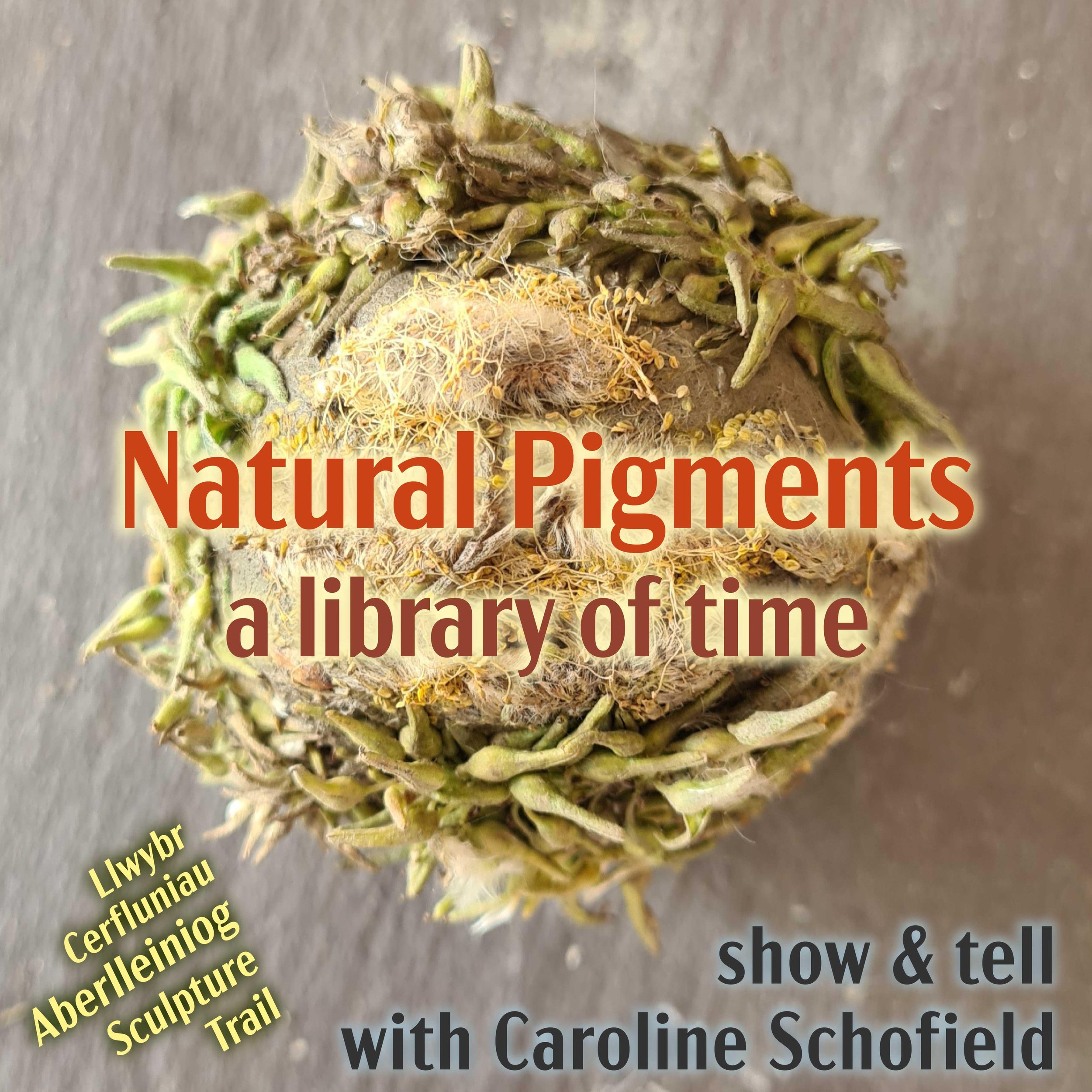 Natural Pigments, a library of time