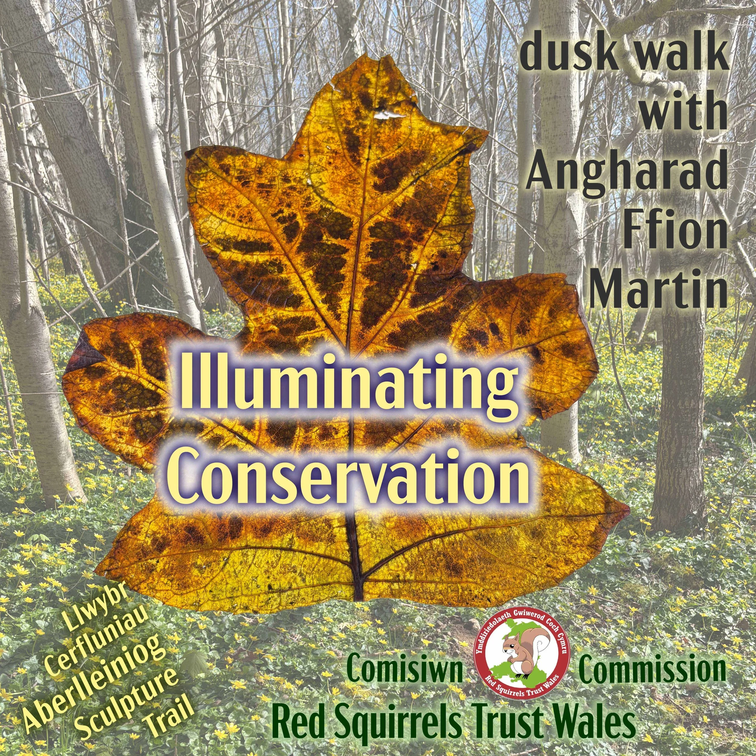 Illuminating Conservation