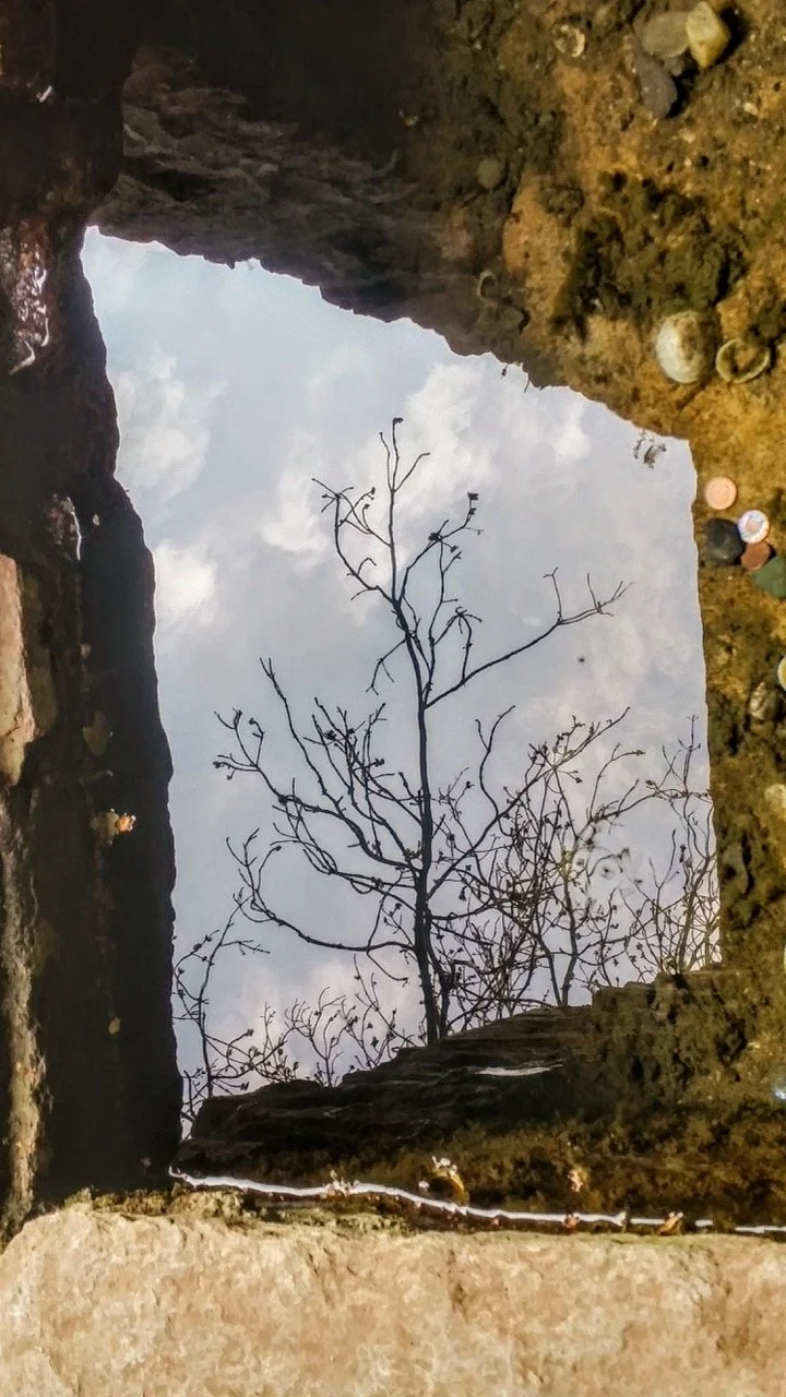 Ffynnon_Gwanwyn2021 Mawr.jpeg