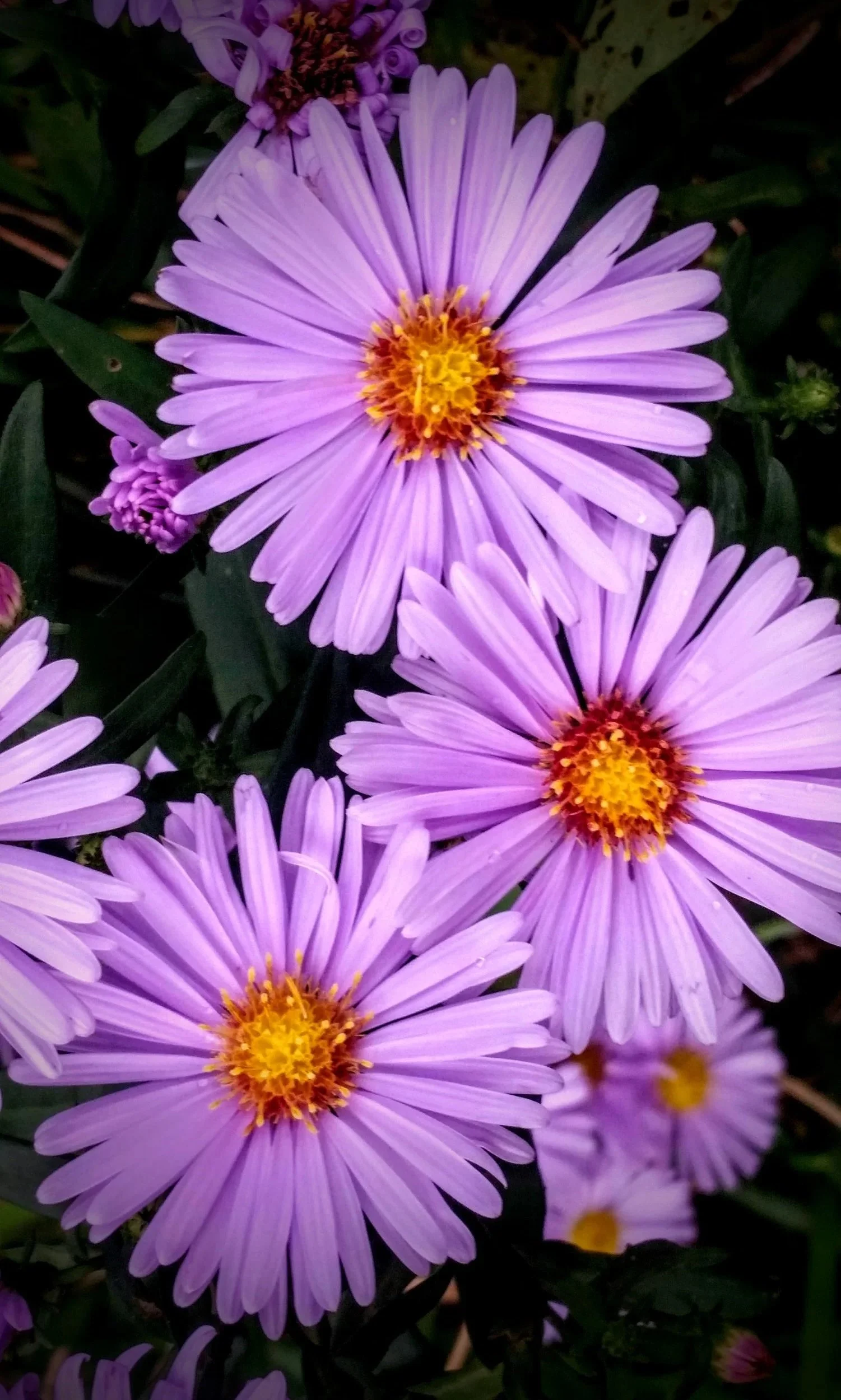 I'r Duw Dros DroY Tu Allan i'm Ffenestr.jpg