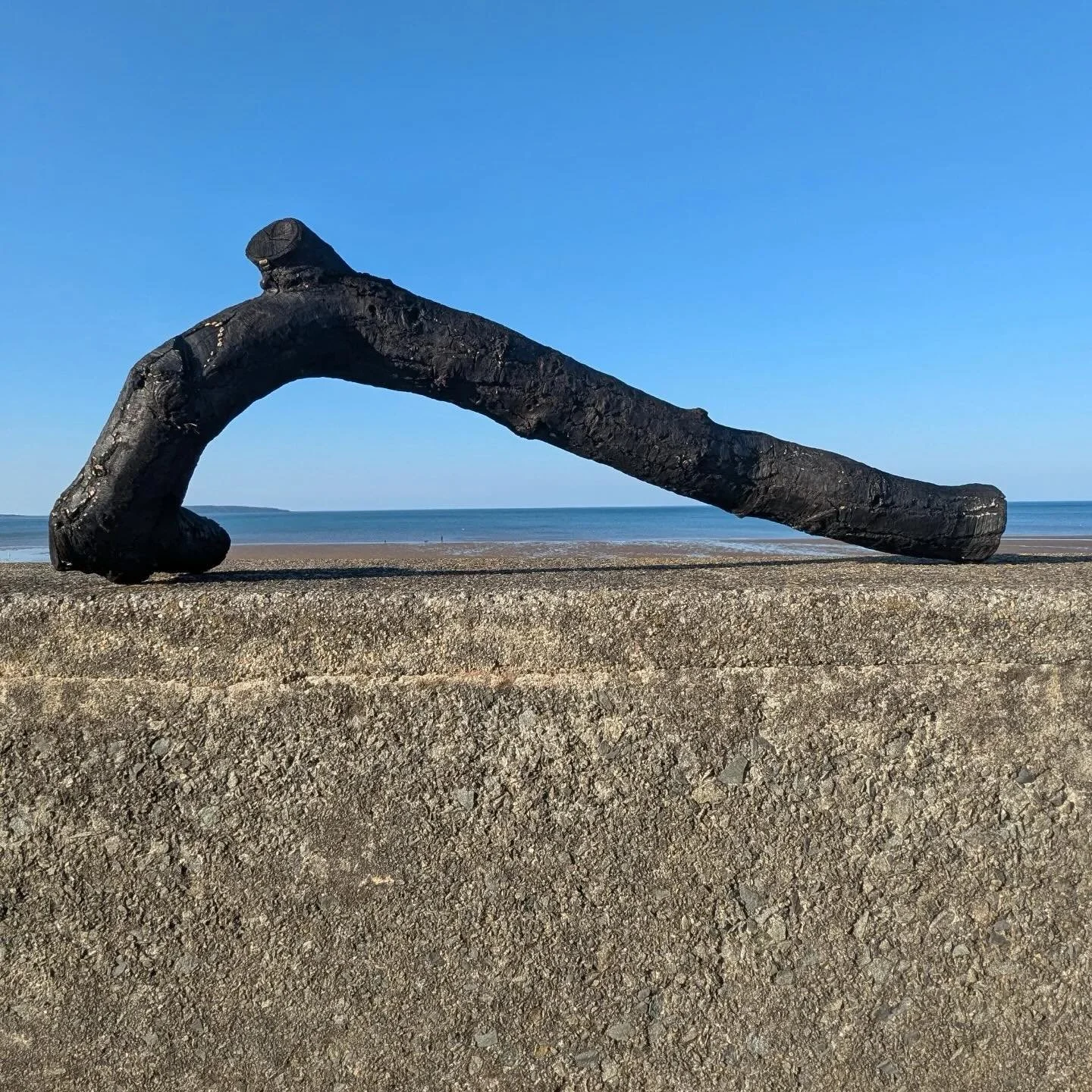 Sharing an exciting work in progress from @artsianhughescelf. Her work &lsquo;SHADOWS&rsquo; will be shown in the clearing behind Aberlleiniog Castle, she is charring these beautiful branches for her sculptural installation for the upcoming Aberllein