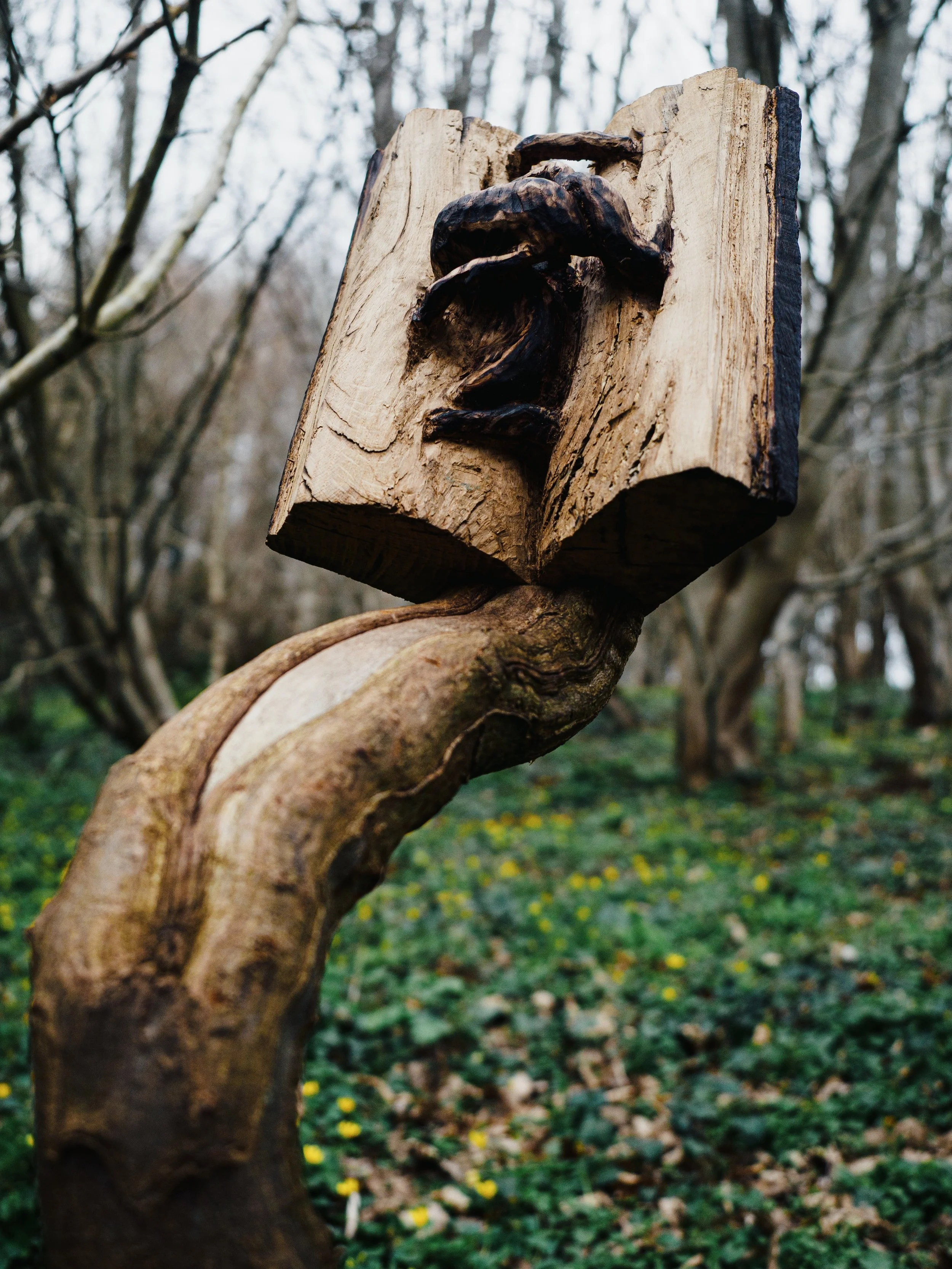 photo credit John Draper