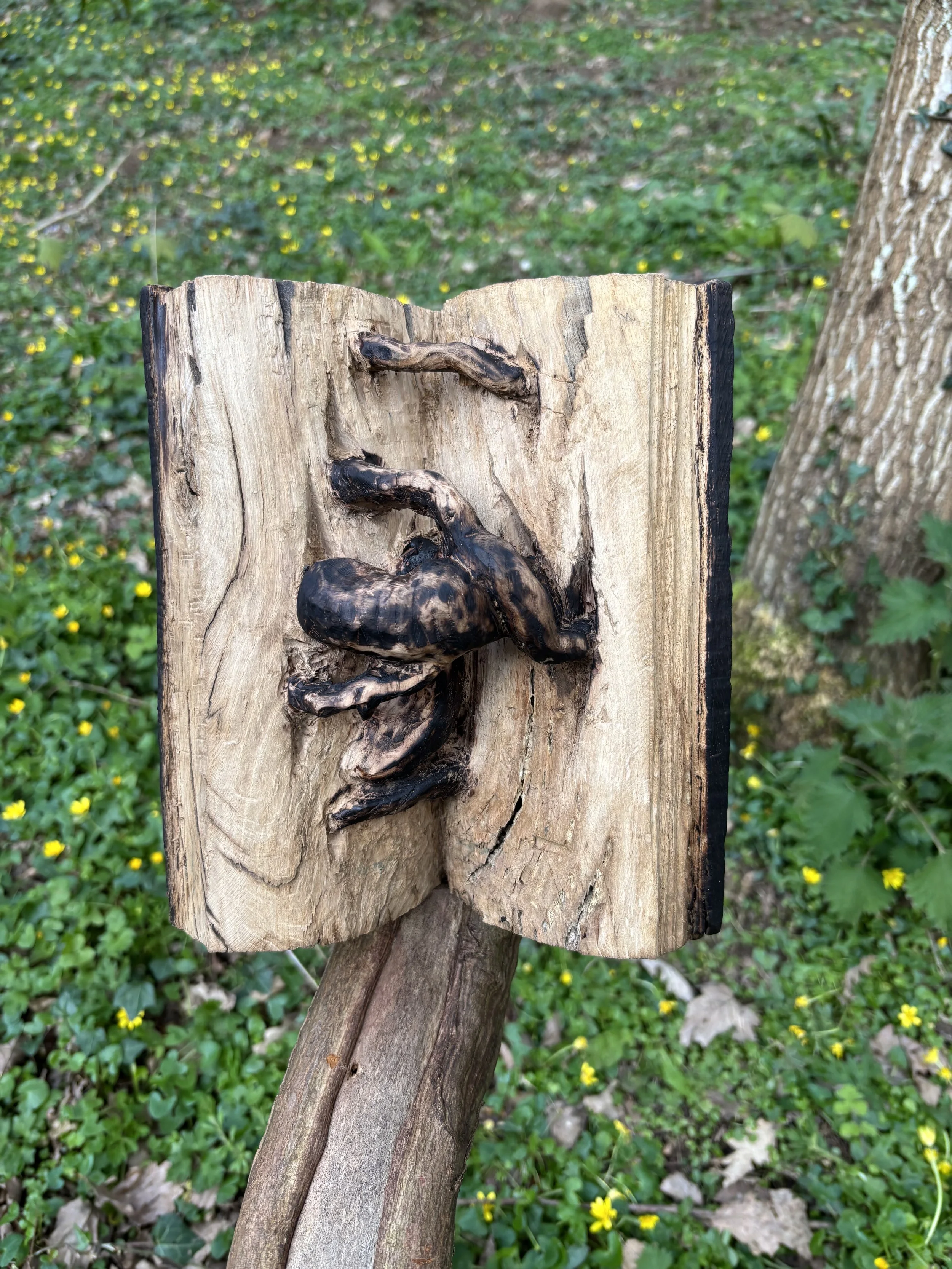  ‘To Begin at the Beginning’ by Sian Elen