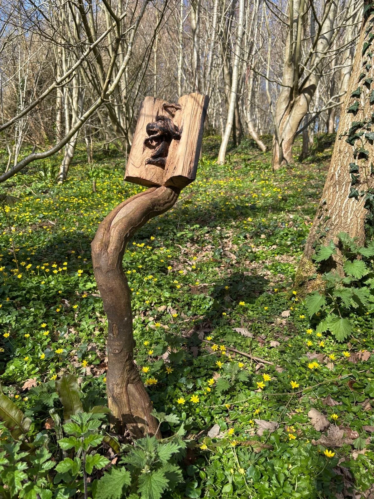 photo credit Wendy Owen