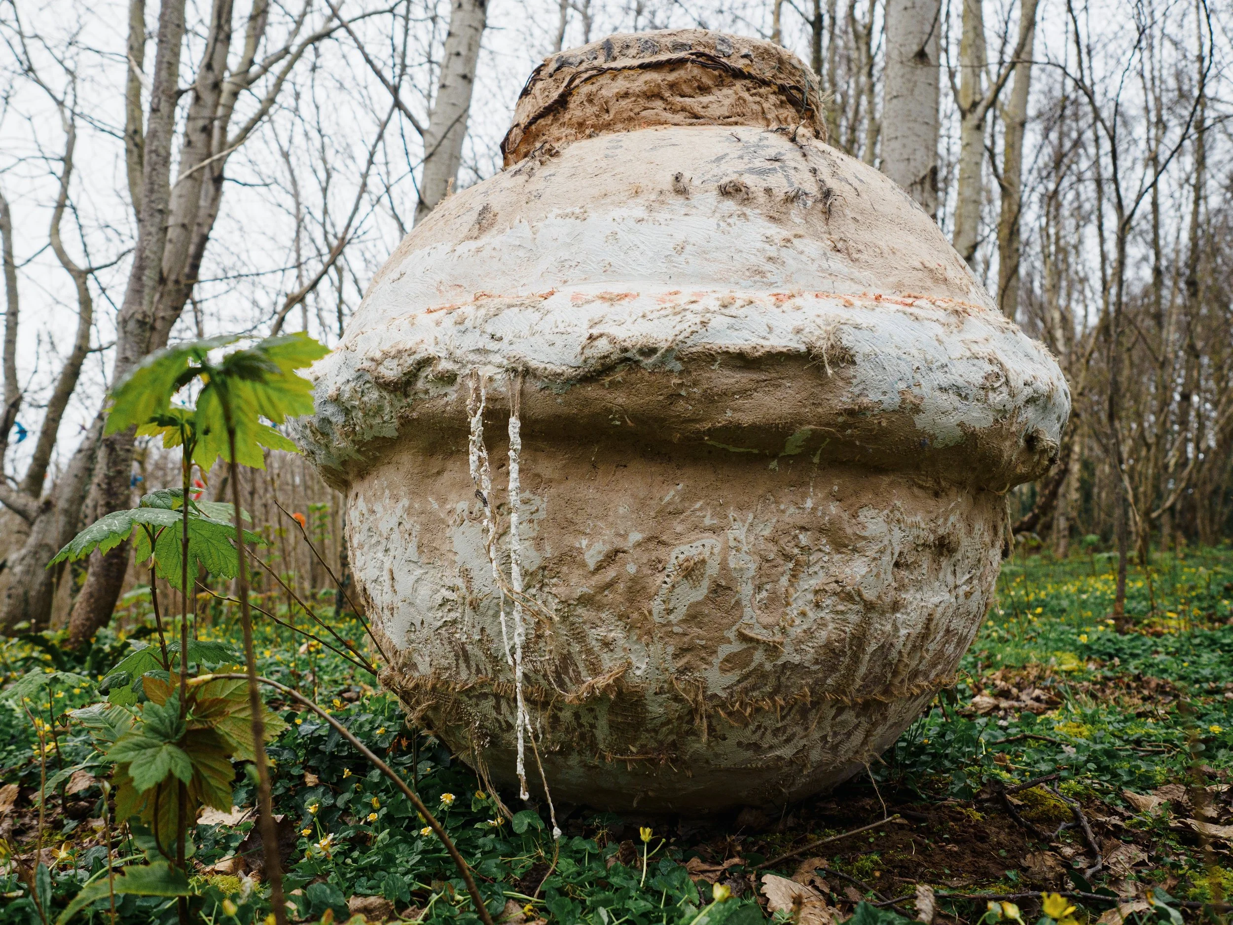 photo credit John Draper