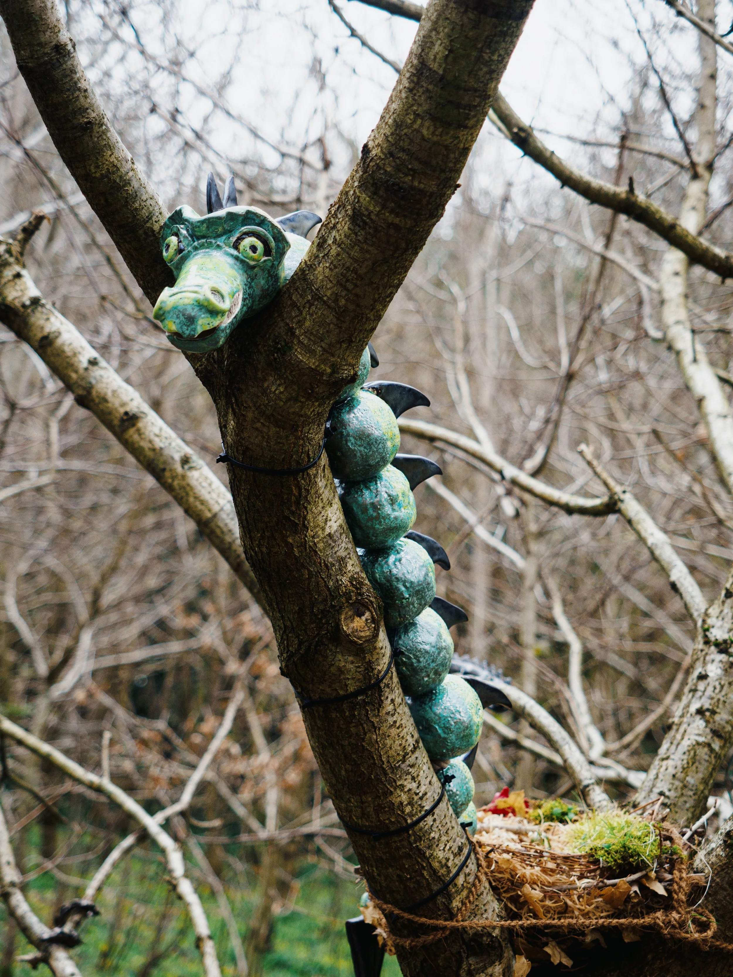 ‘Of Dragons’ by Lin Gallagher 