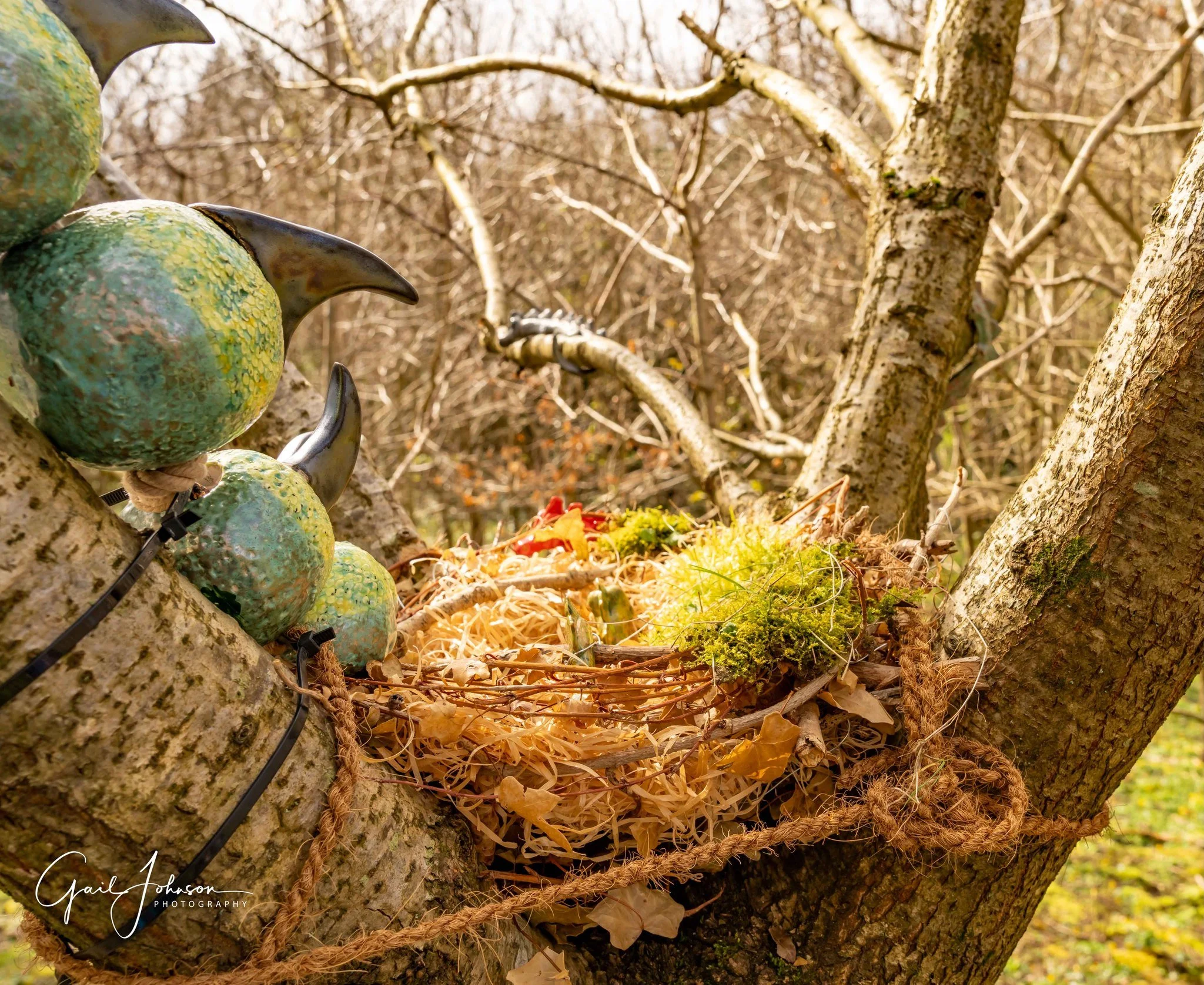 photo credit Gail Johnson