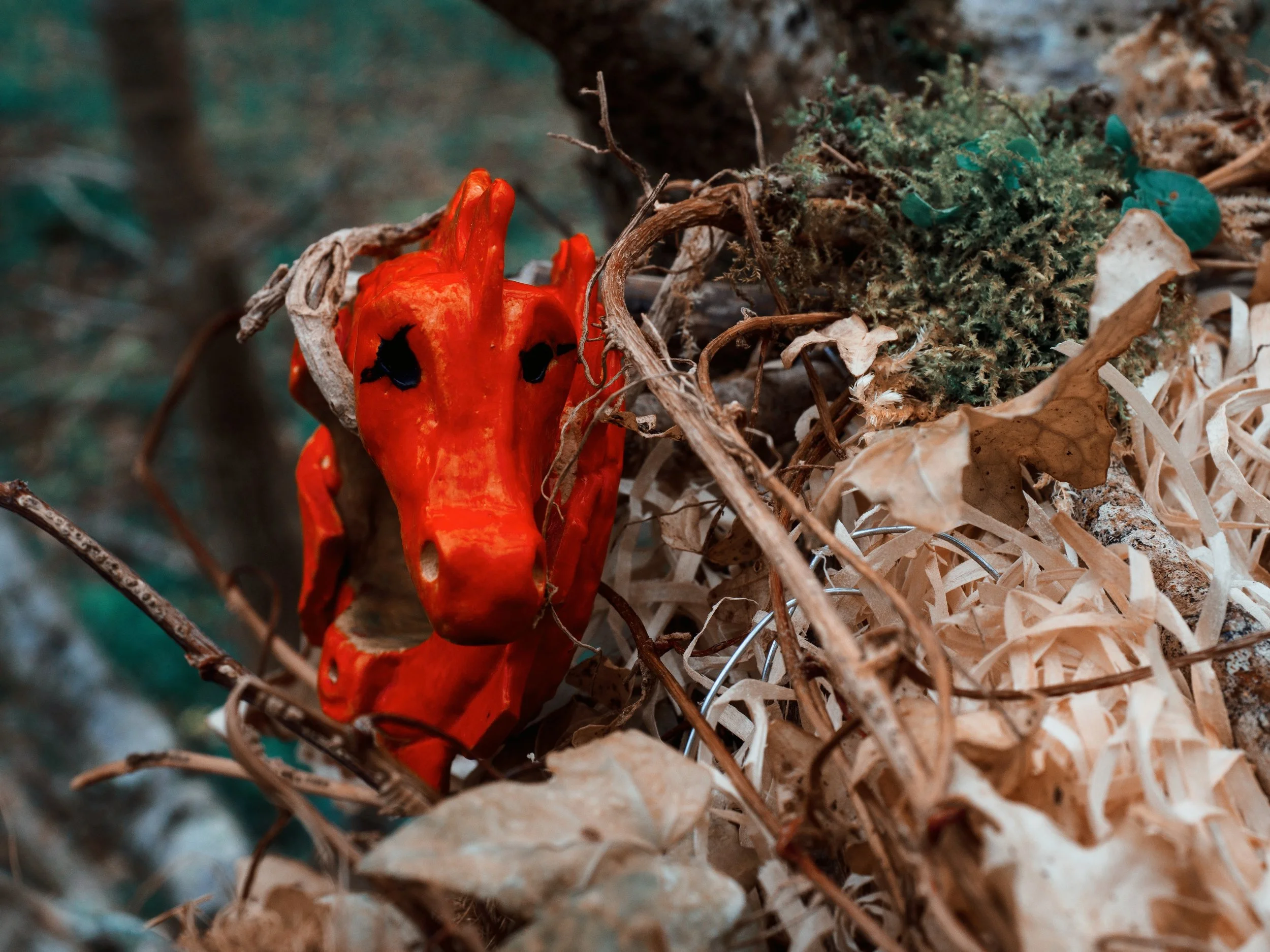 photo credit John Draper