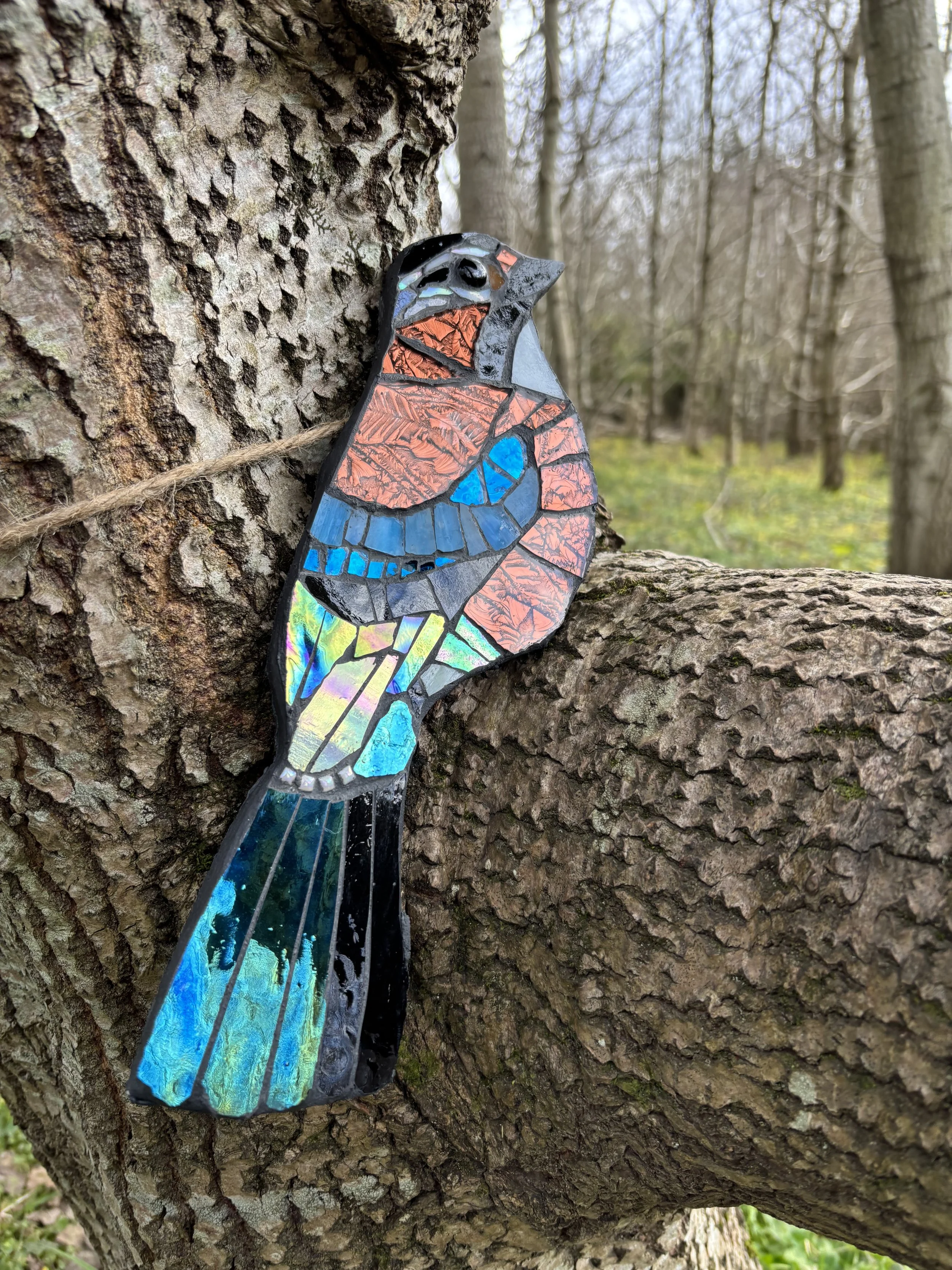 credyd llun Julie Upmeyer