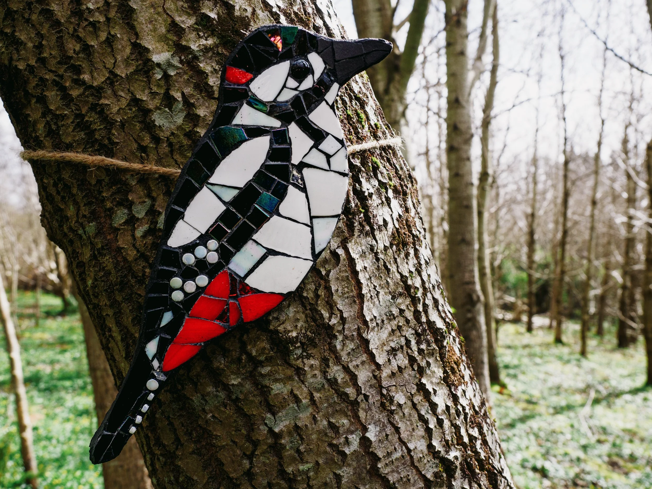 credyd llun John Draper