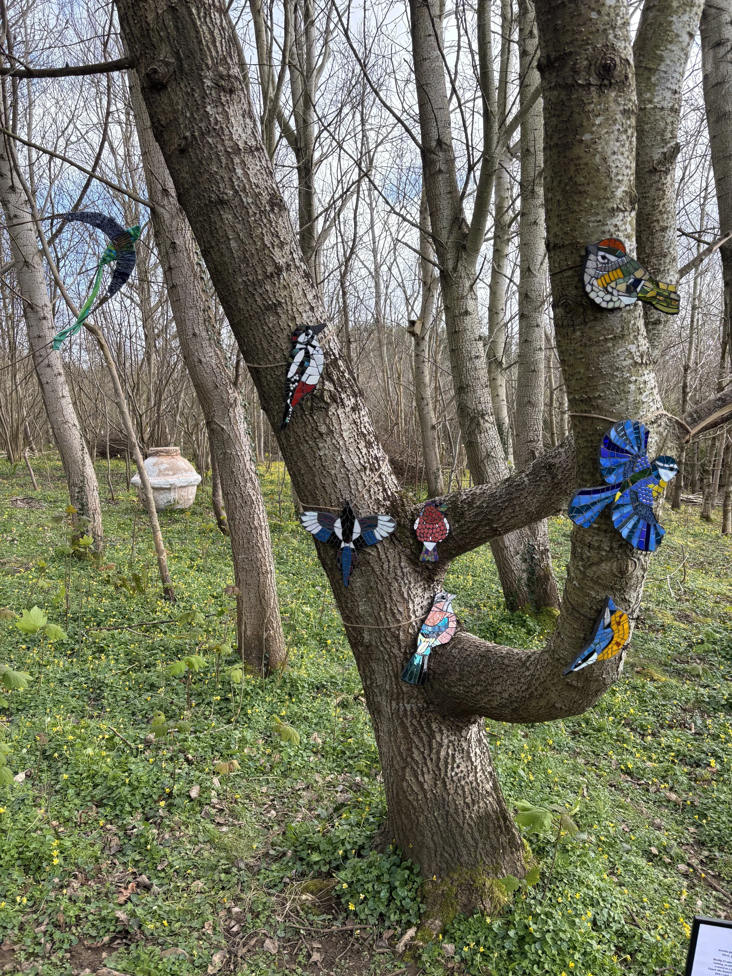 credyd llun Julie Upmeyer