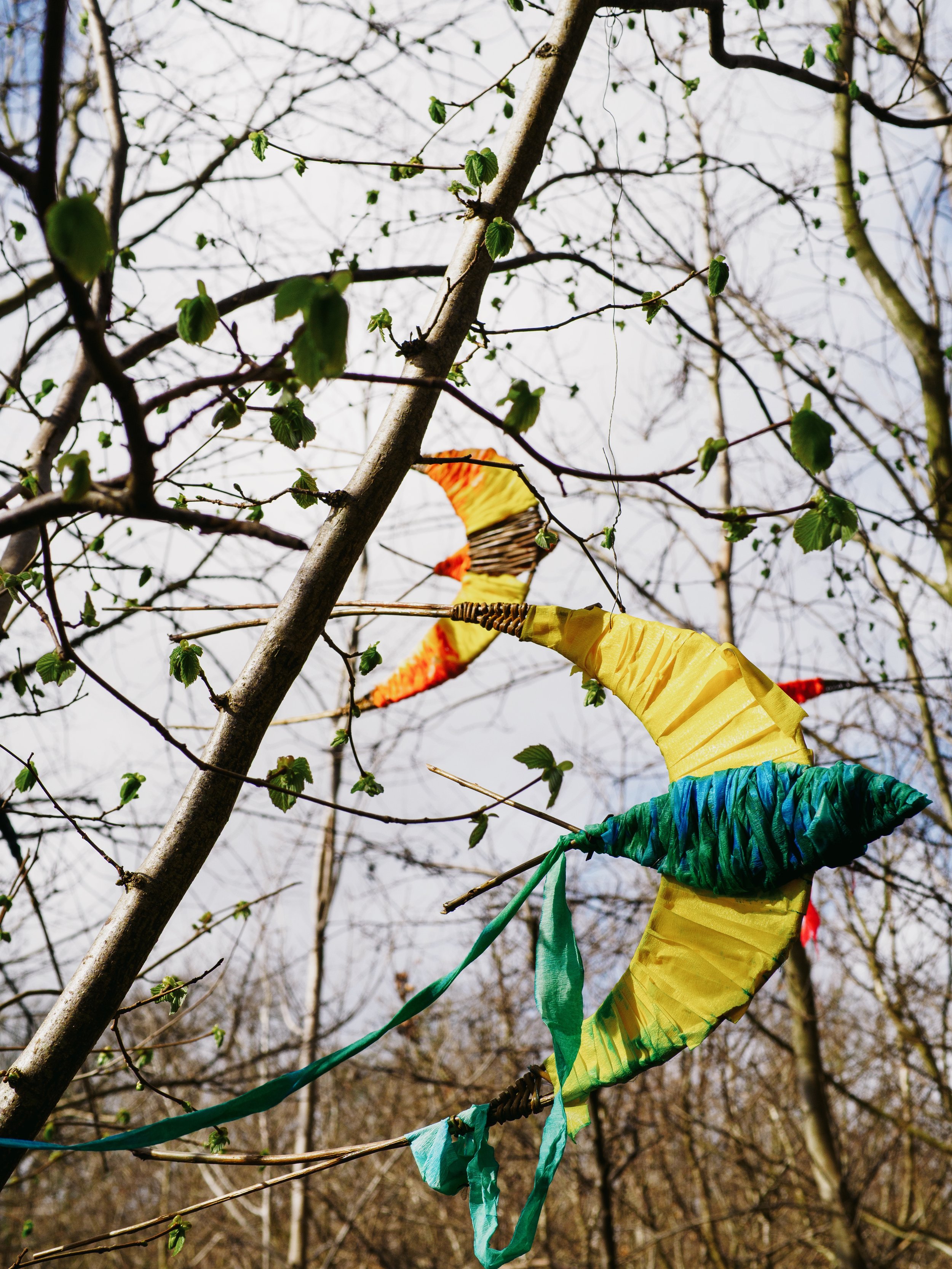 photo credit John Draper