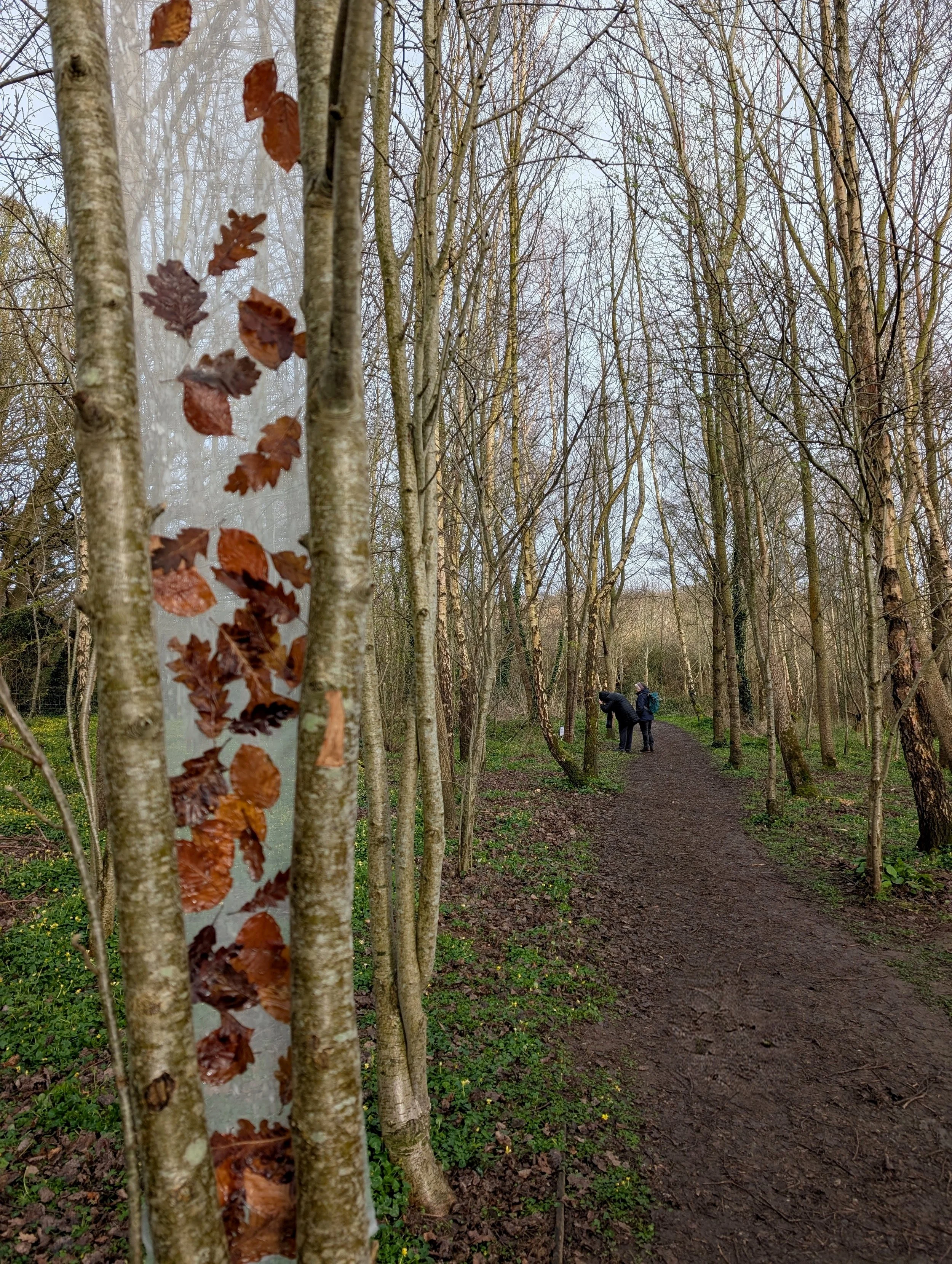 photo credit Lin Cummins