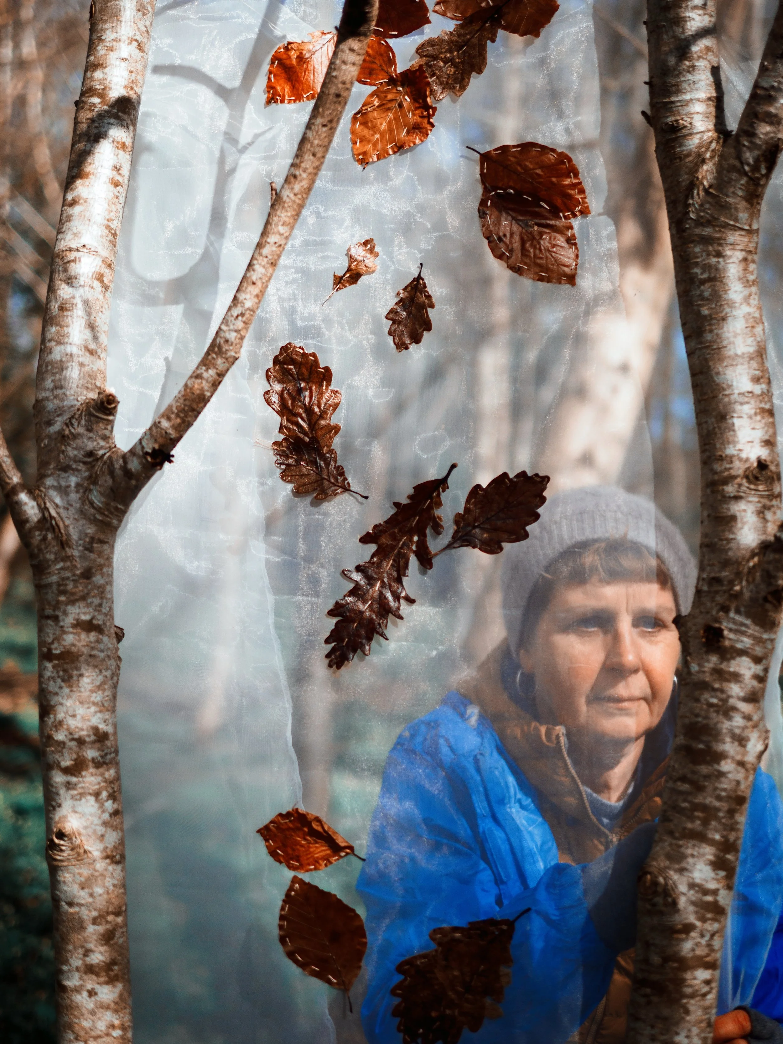 photo credit John Draper