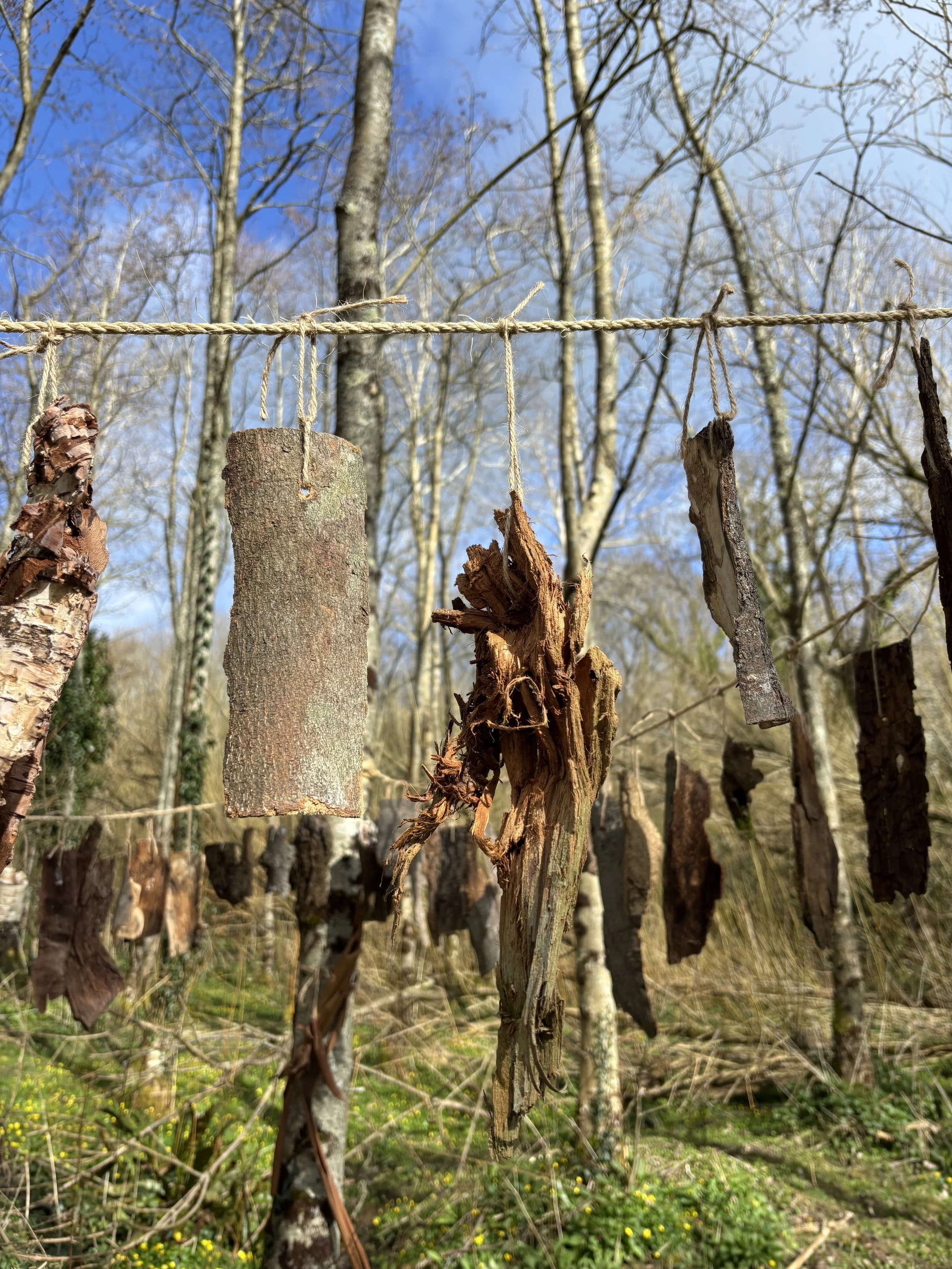 photo credit Julie Upmeyer