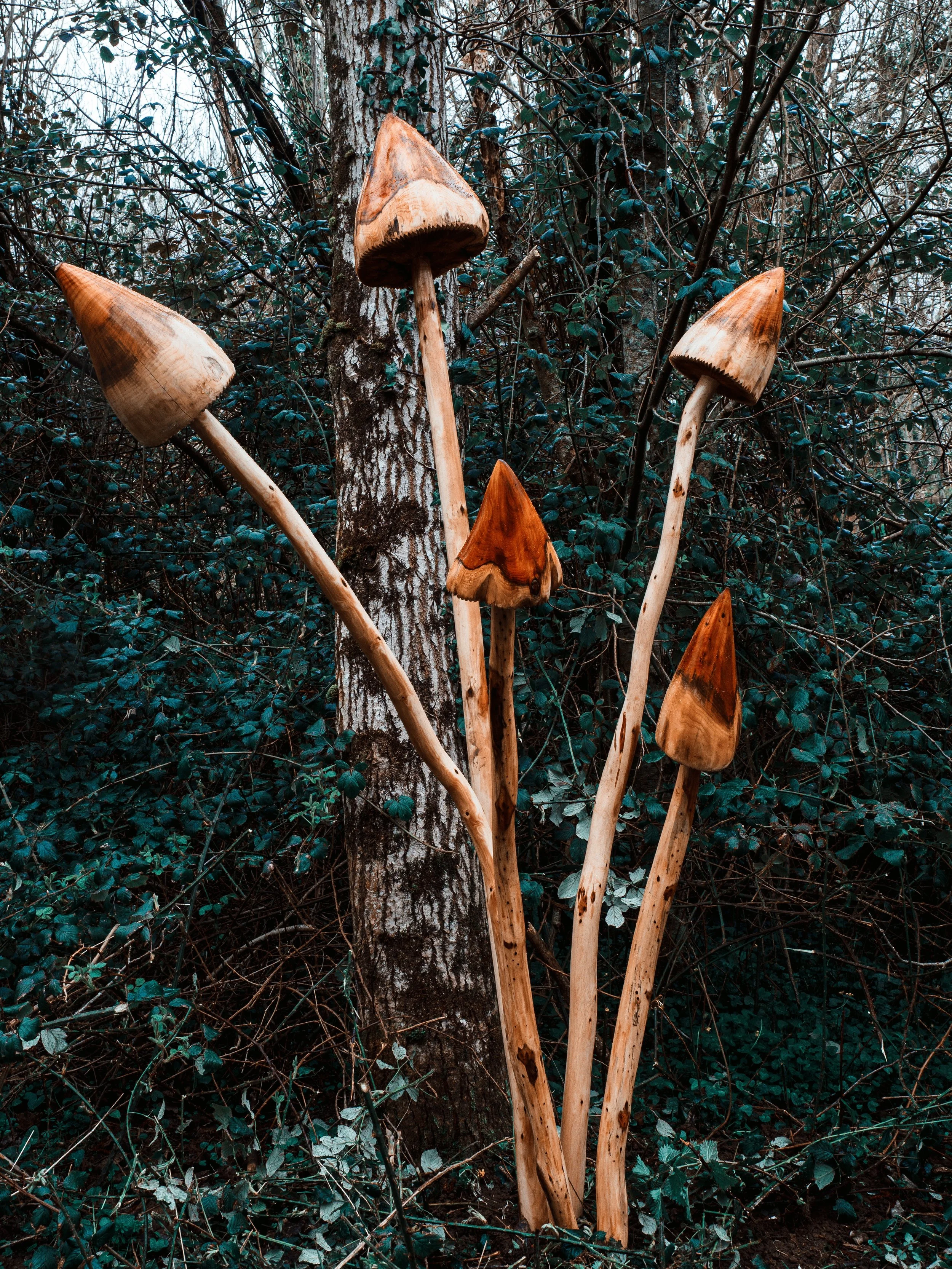 photo credit John Draper