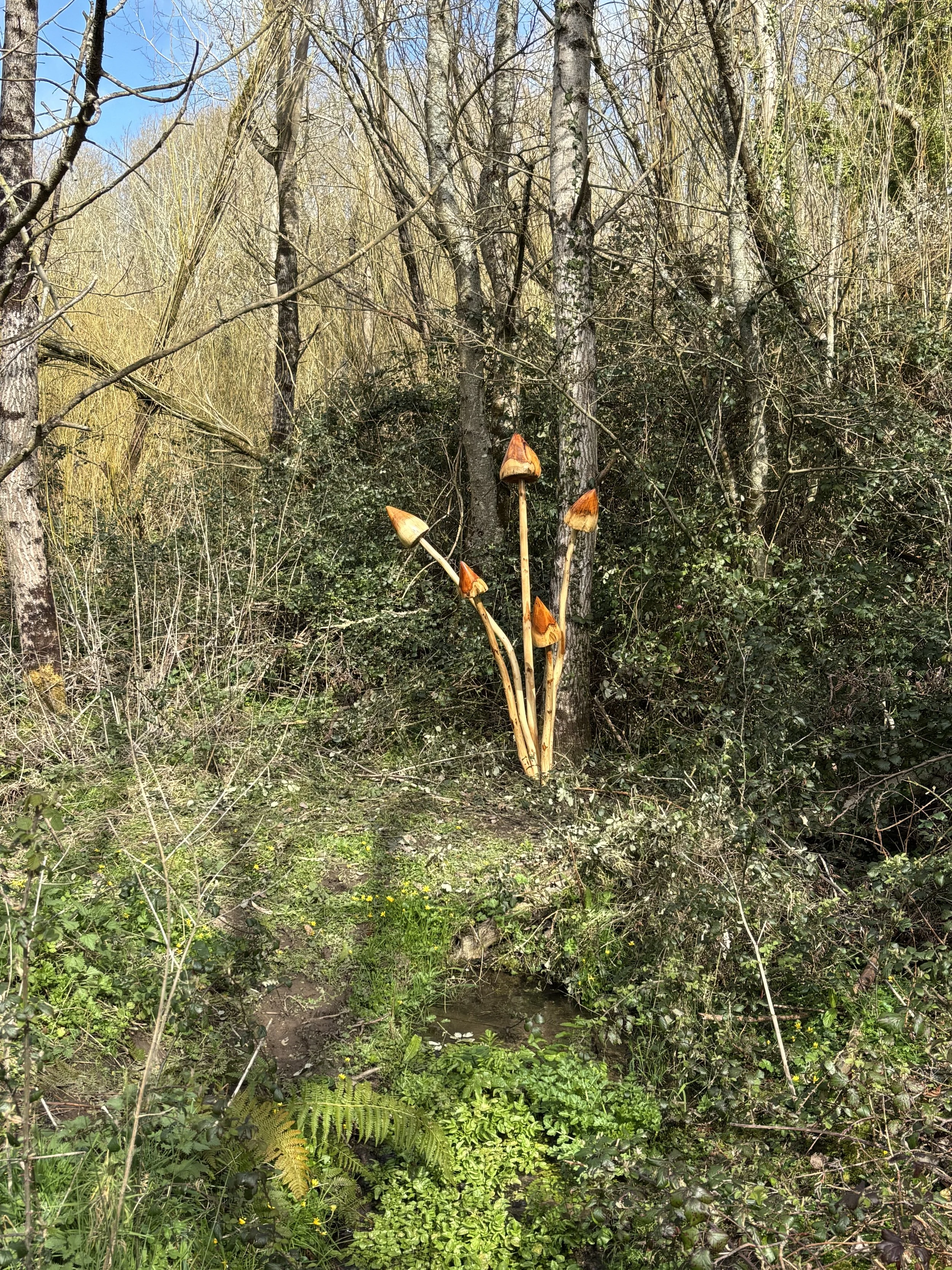 photo credit Julie Upmeyer