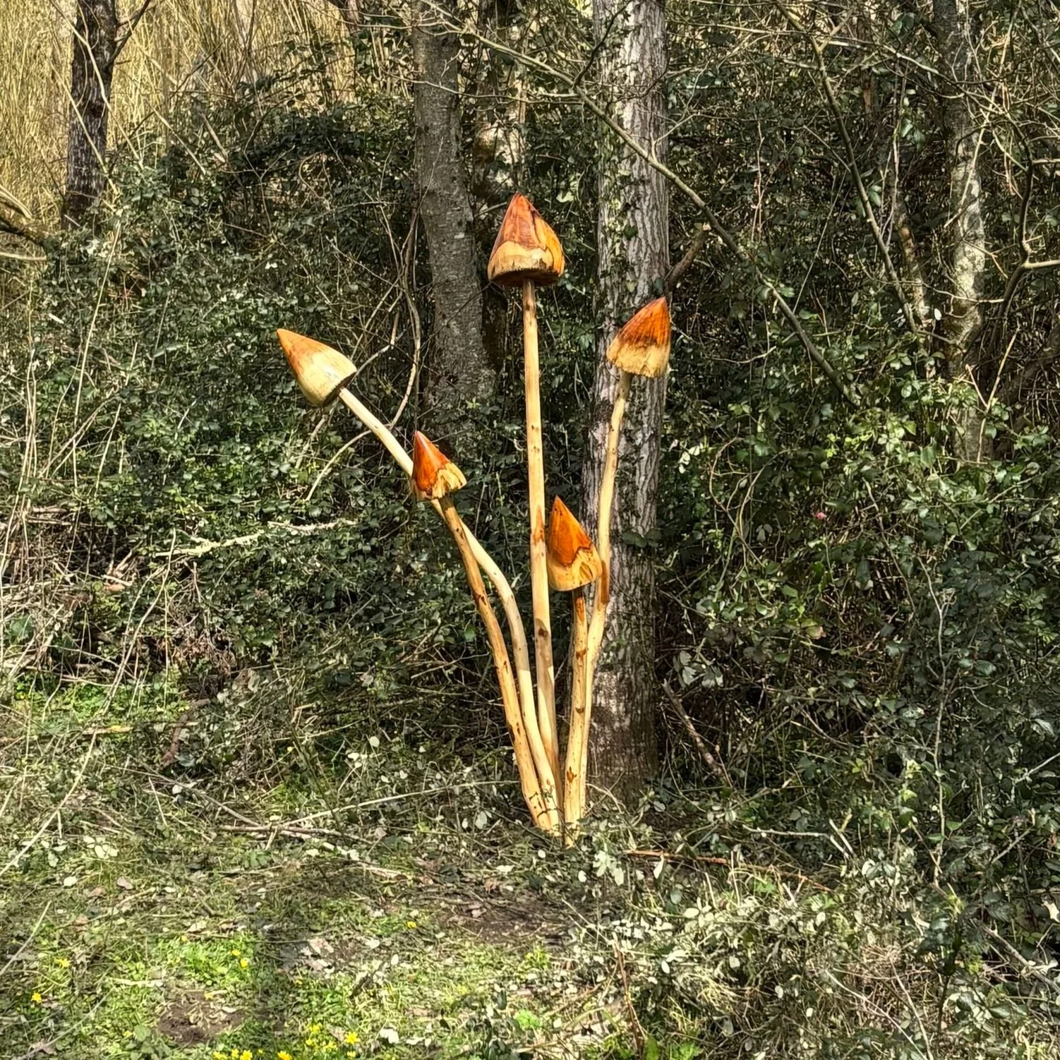 'Bwyd y Derwydd' gan Hugh Roberts