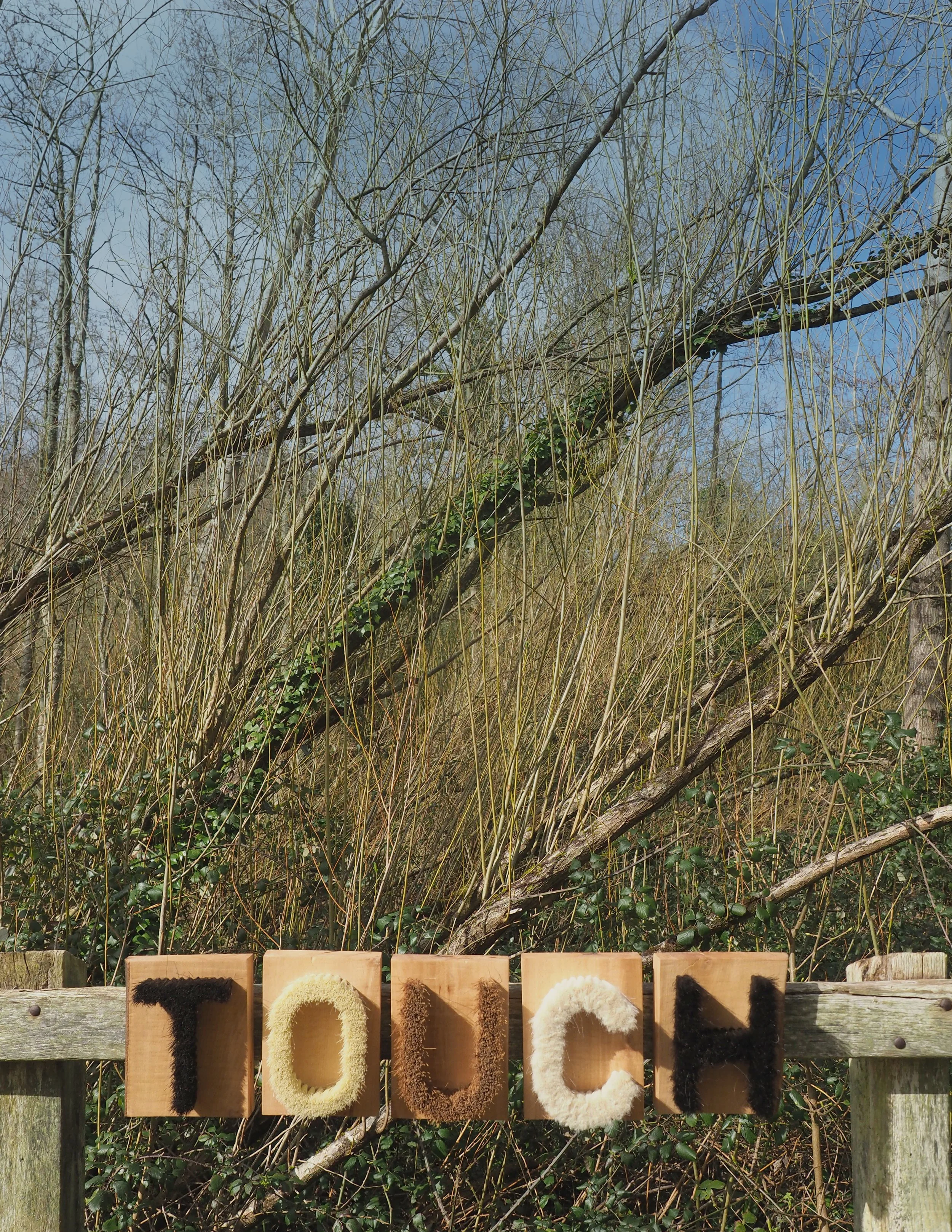 photo credit Lin Cummins