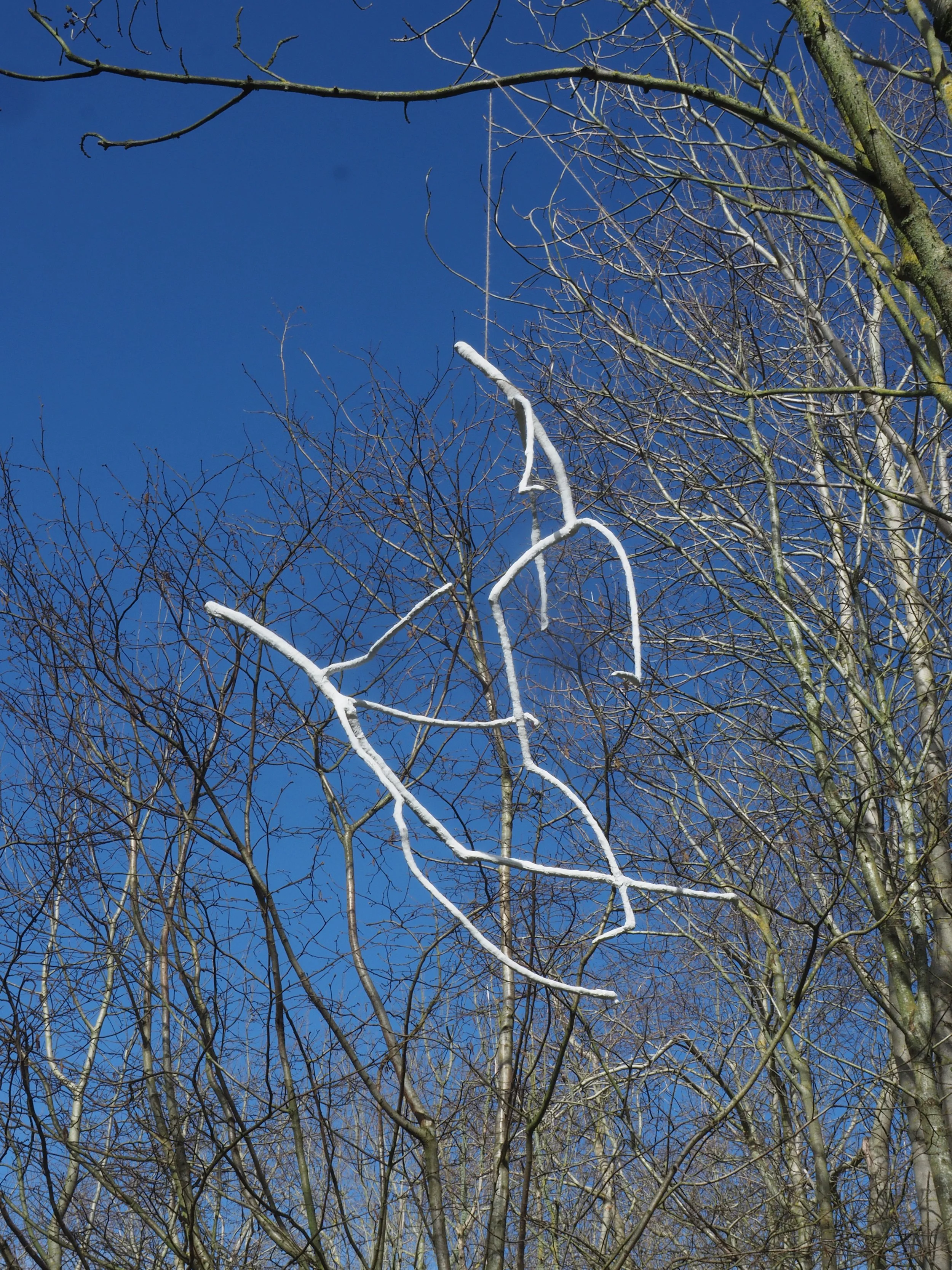 photo credit John Draper