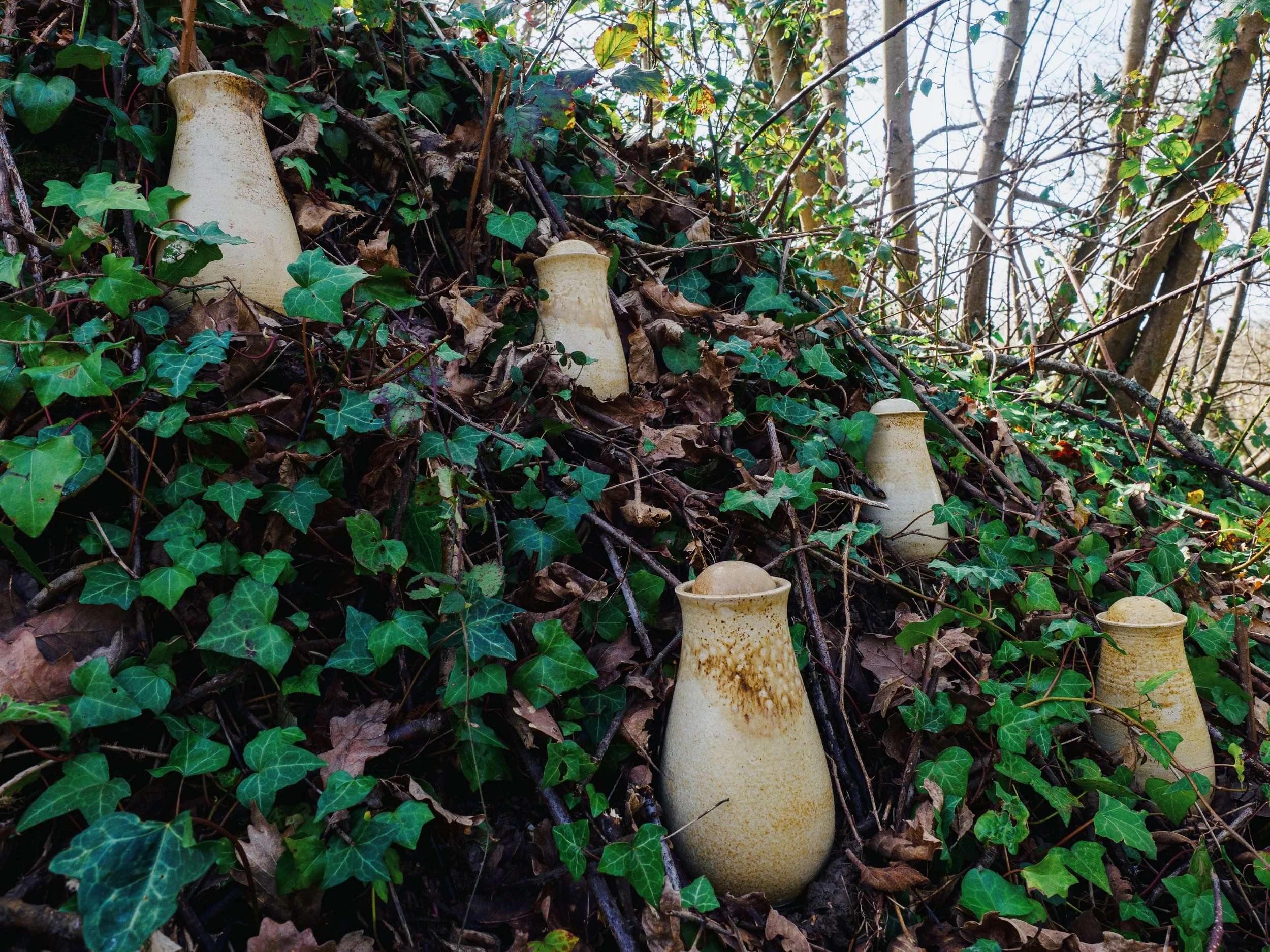 photo credit John Draper