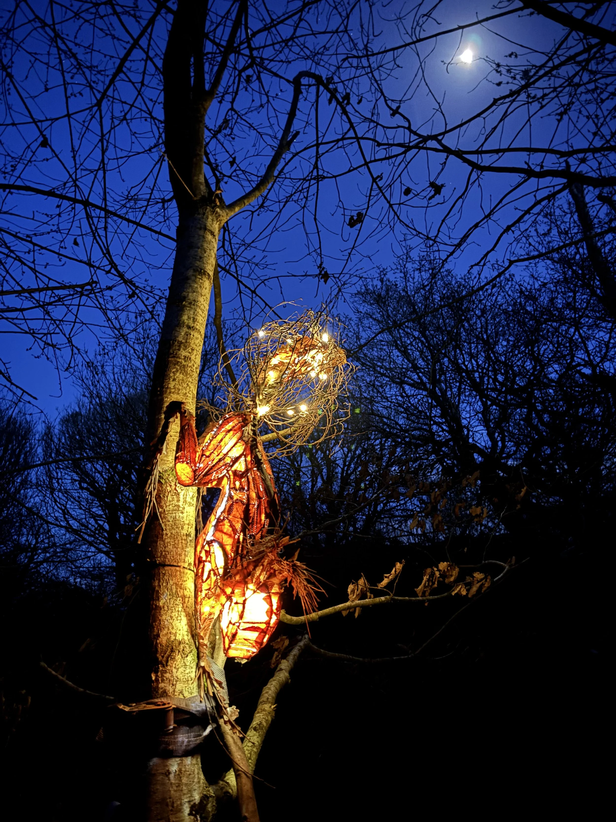 ‘Illuminating Conservation’ a dusk walk with Angharad Ffion Martin