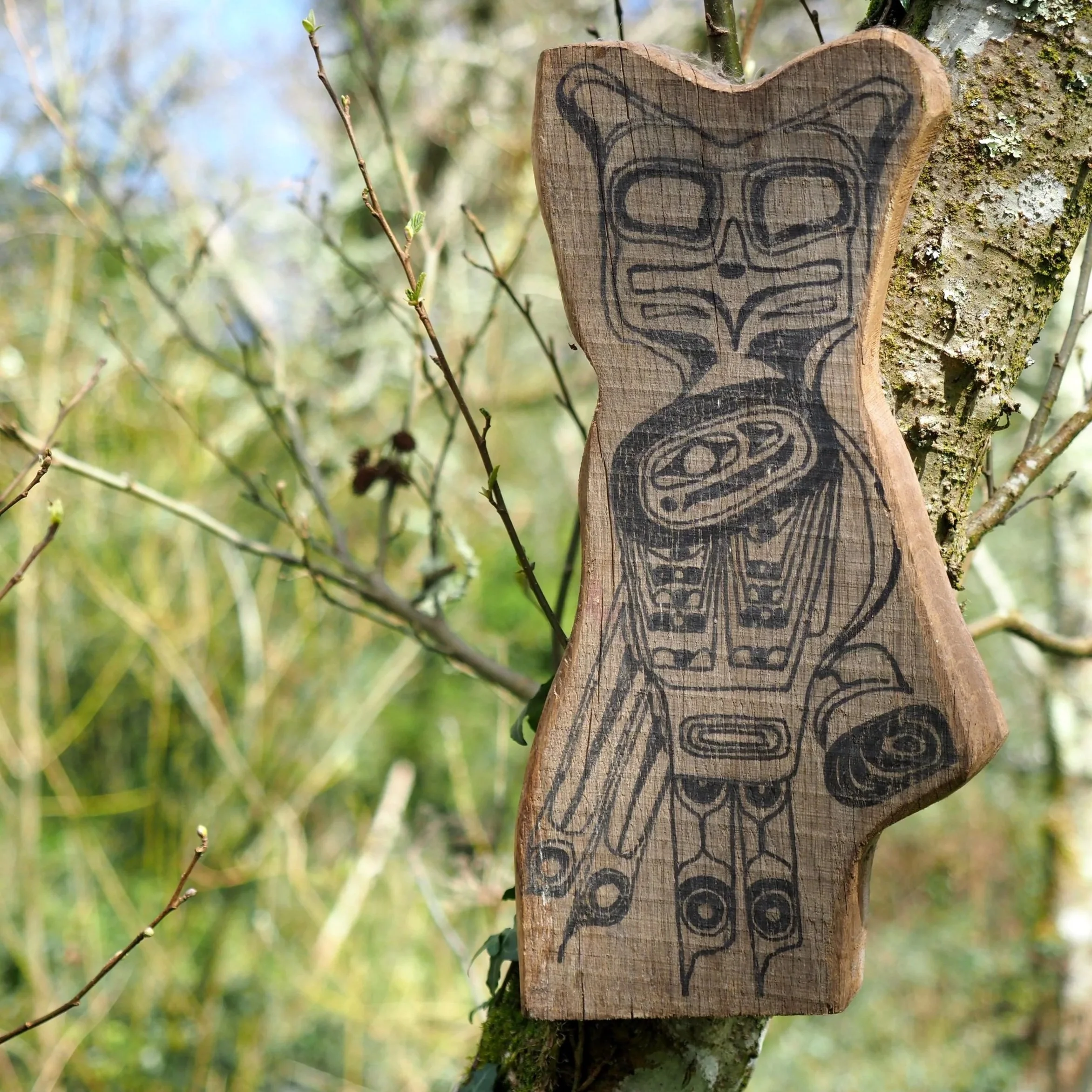 'Y Dylluan' gan Gareth Phillips