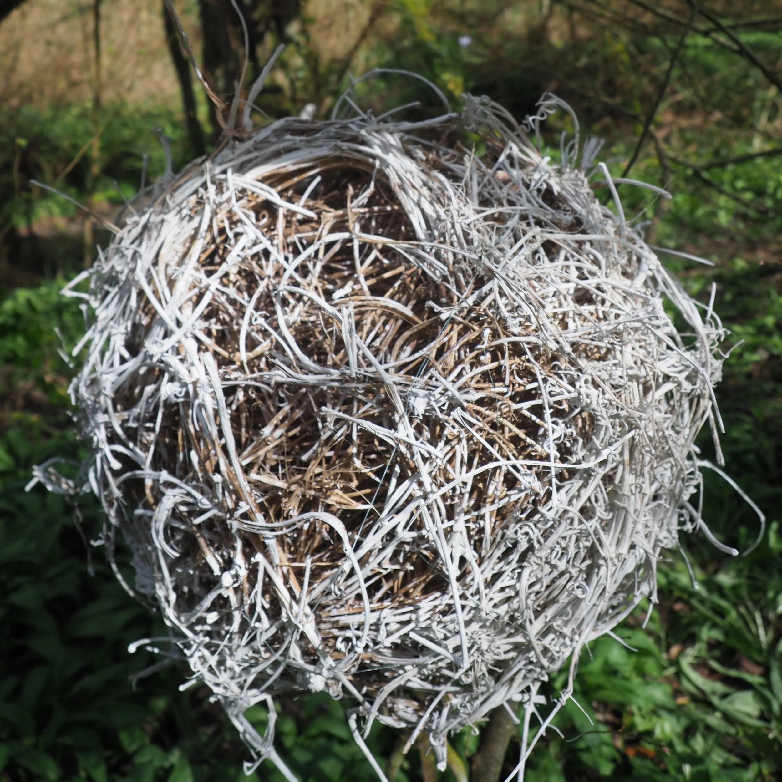 'myfyrdod, coeden a fi' gan emily kyle