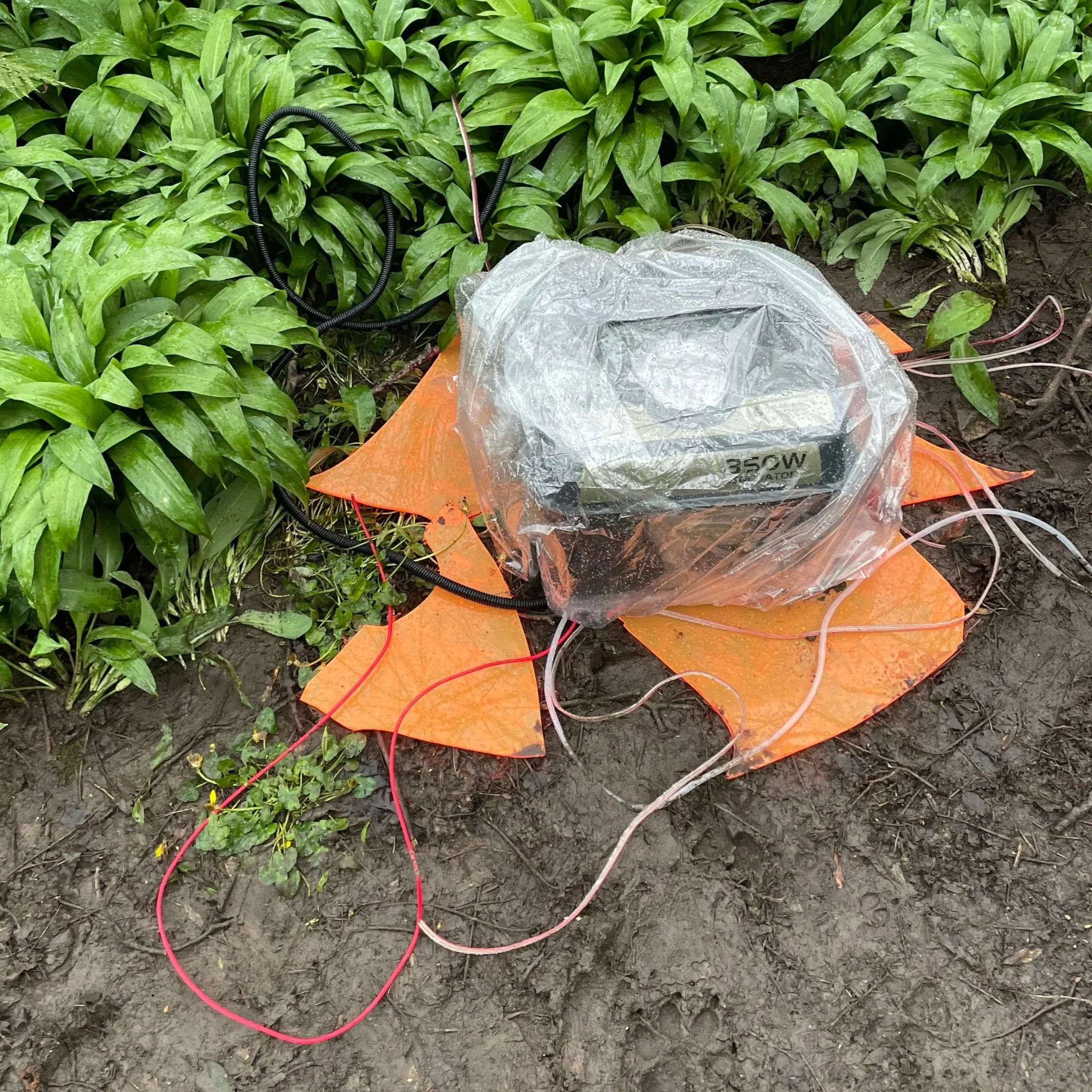 'Ynni yn y Gwagle' gan Luce FM