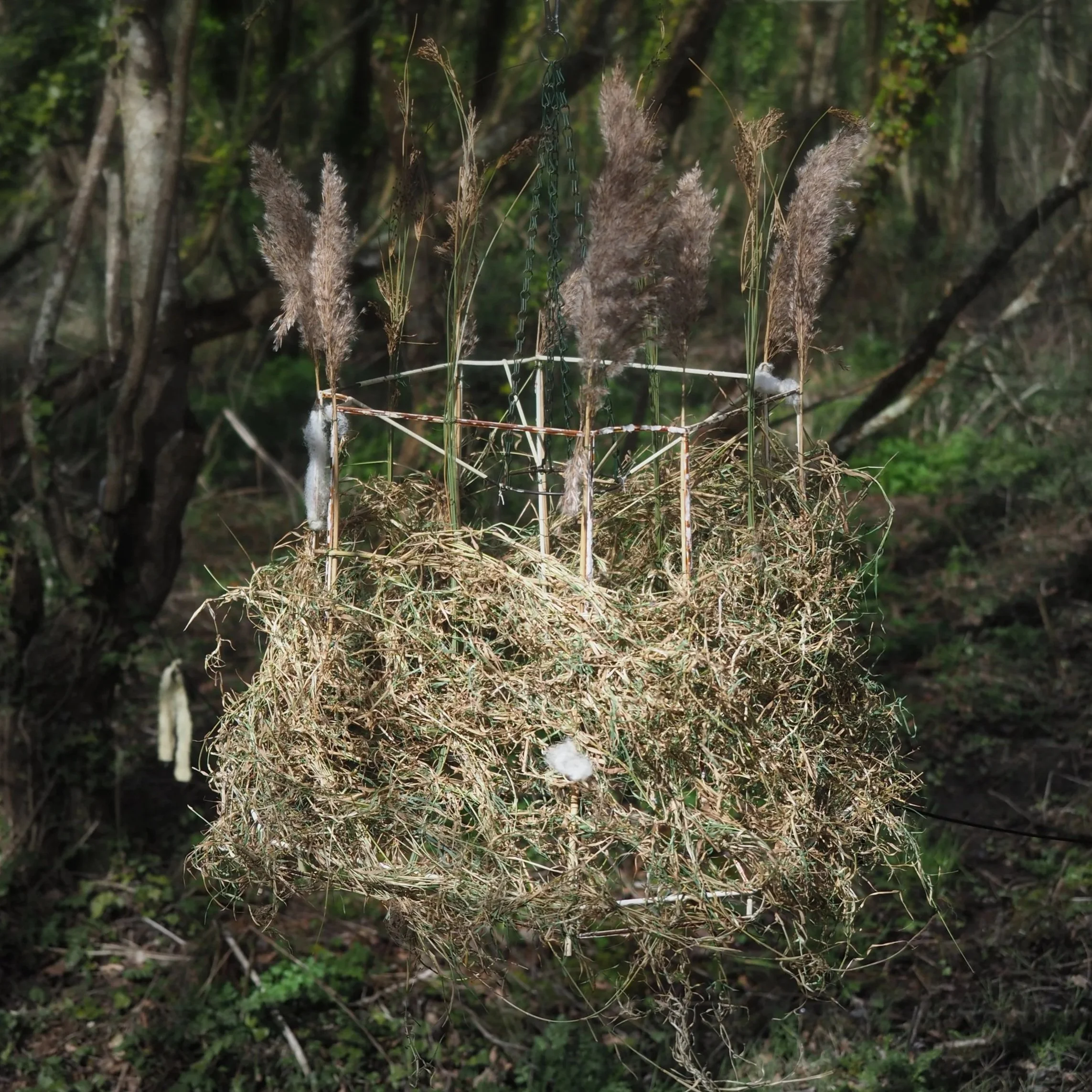 'Wedi Dal yn y Ffrâm / Caught in the Frame' gan Elizabeth & Stuart Benson