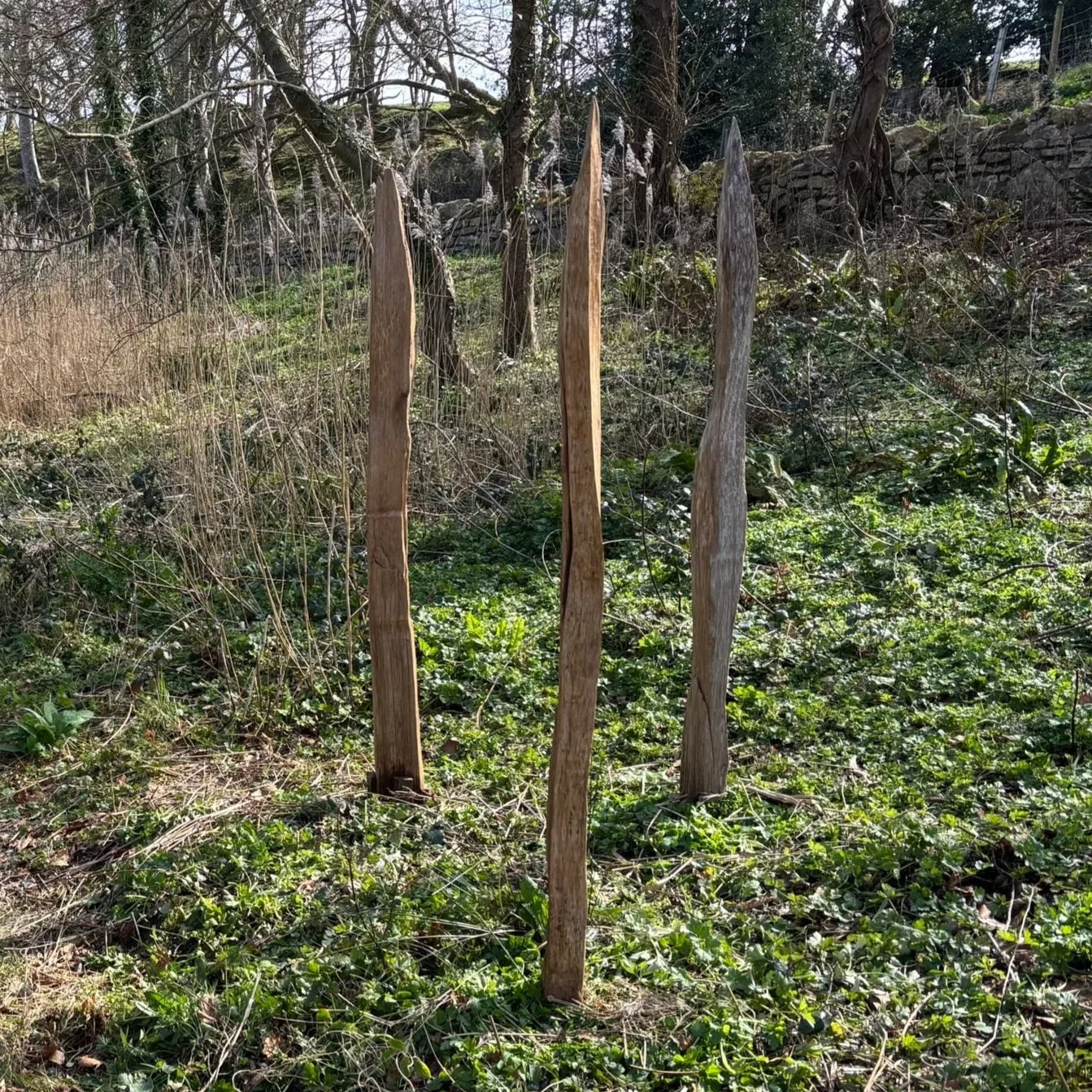 'Di-deitl' gan Peter Holloway