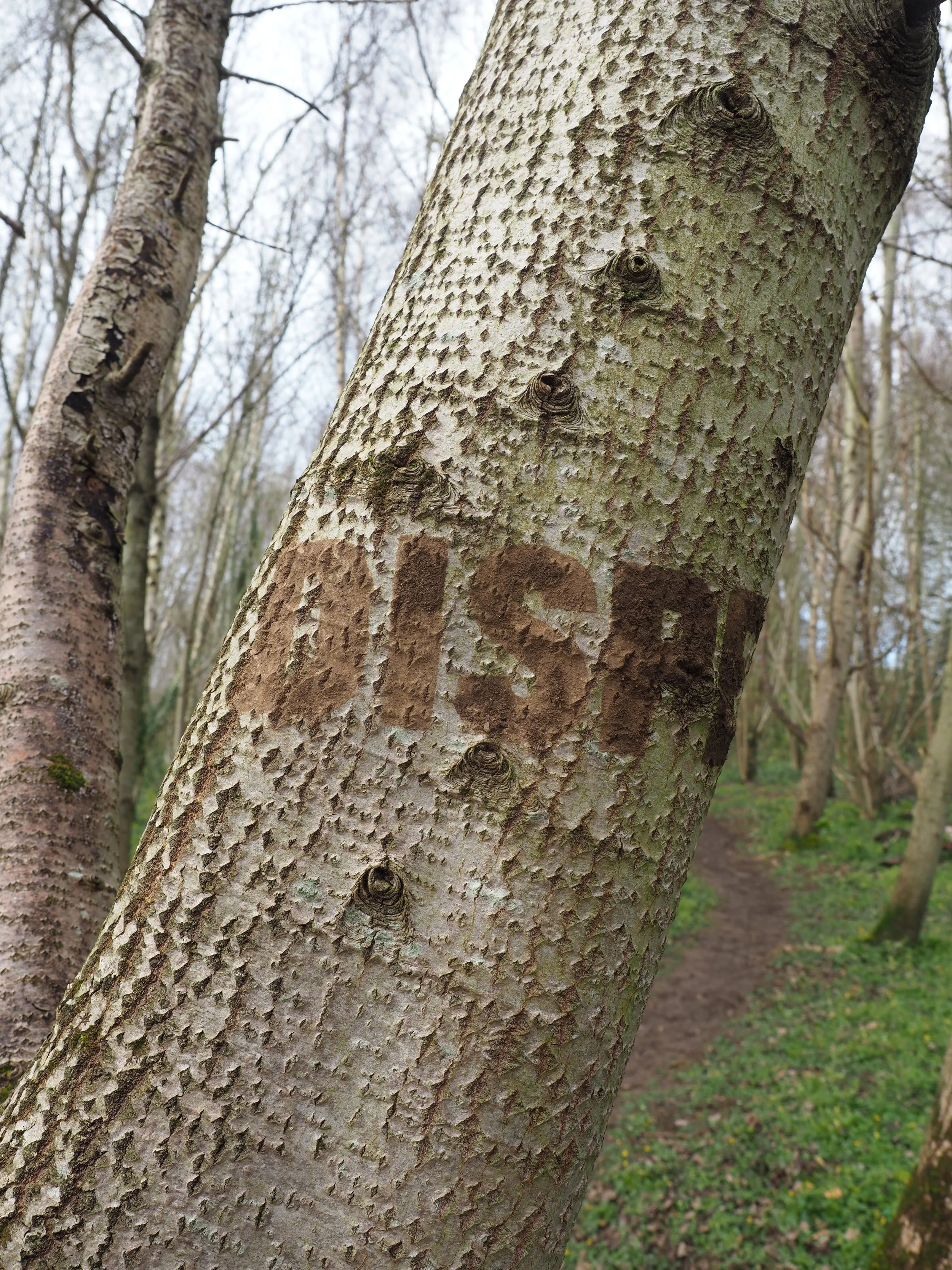 'Mudwards' gan Andrew Mottershead