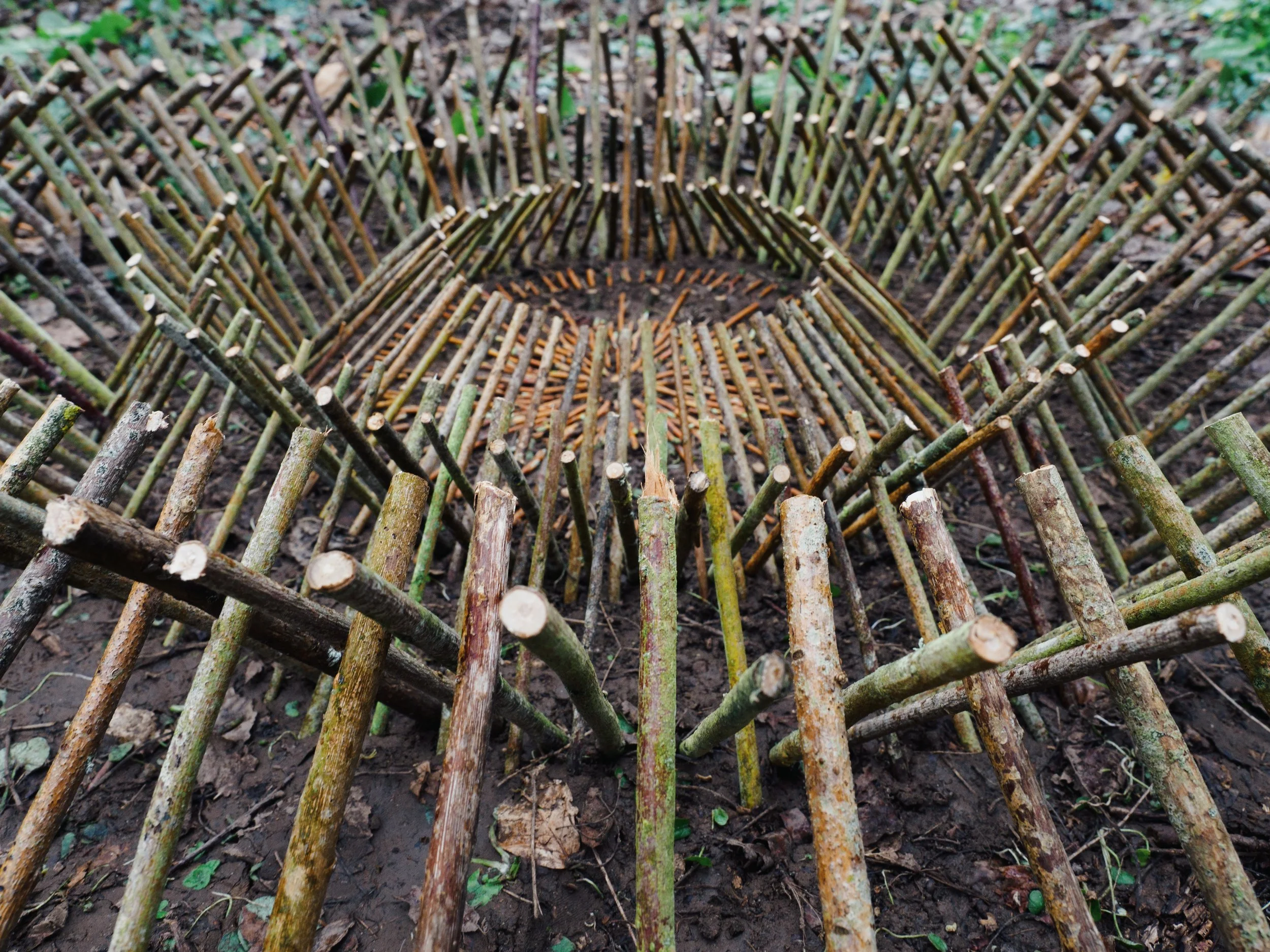 'Dal Dwylo â'r Tir' Winston Plowes