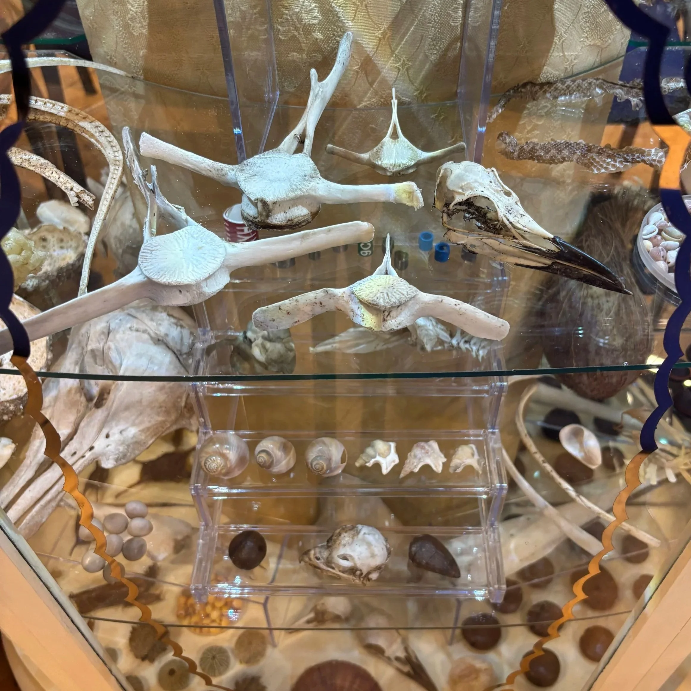 'Ar Lan Y Mor' gan Gwenllian Hughes