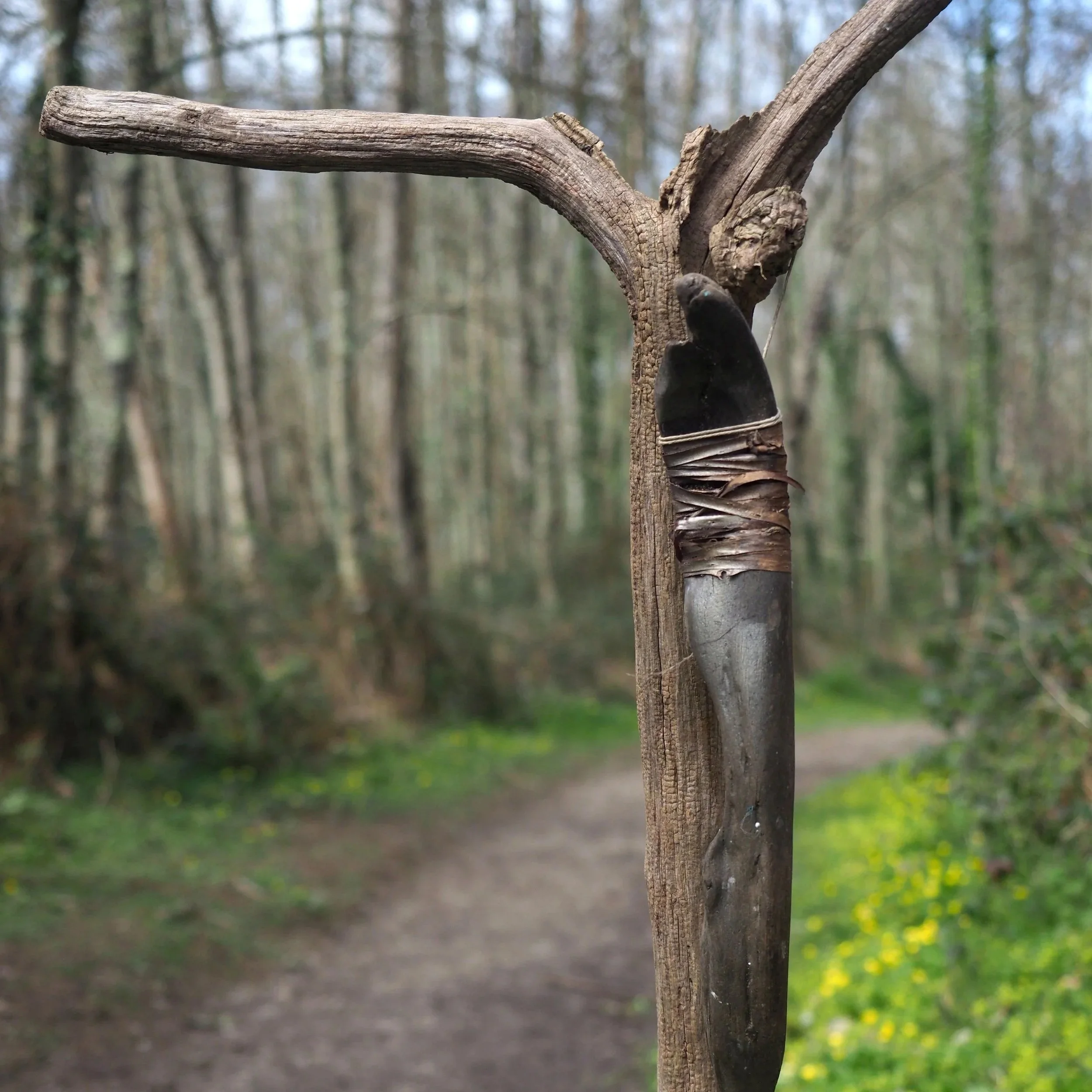 'Nymff y Coed' gan Gareth Phillips