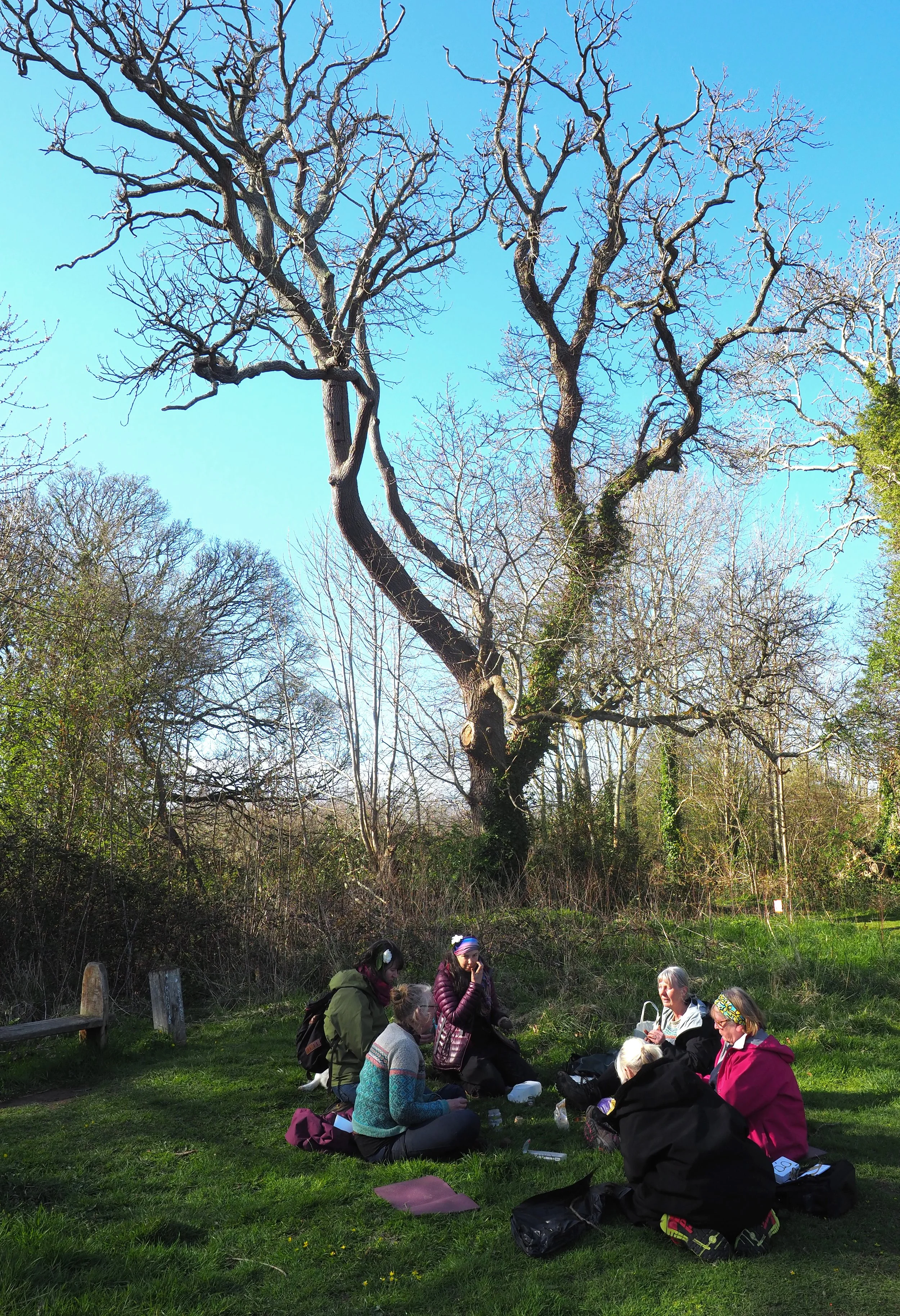 lincumminsP1014898_LinCummins.jpg