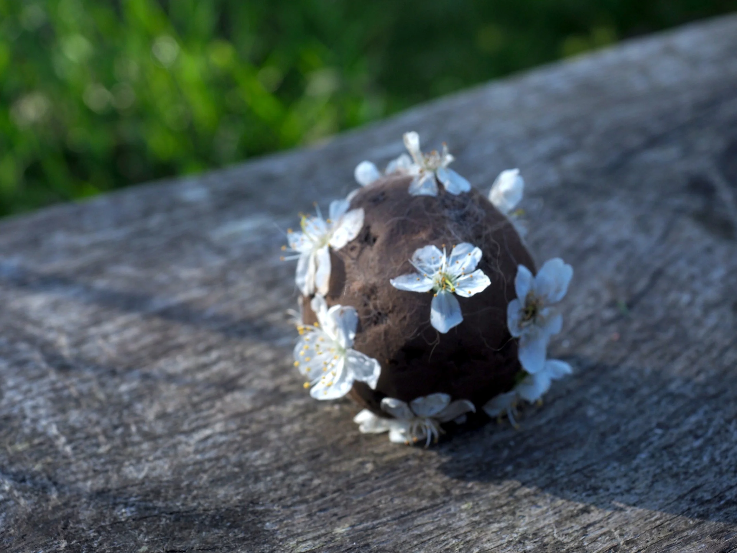 ‘A Homage to Ash’ Pom Stanley &amp; Caroline Schofield