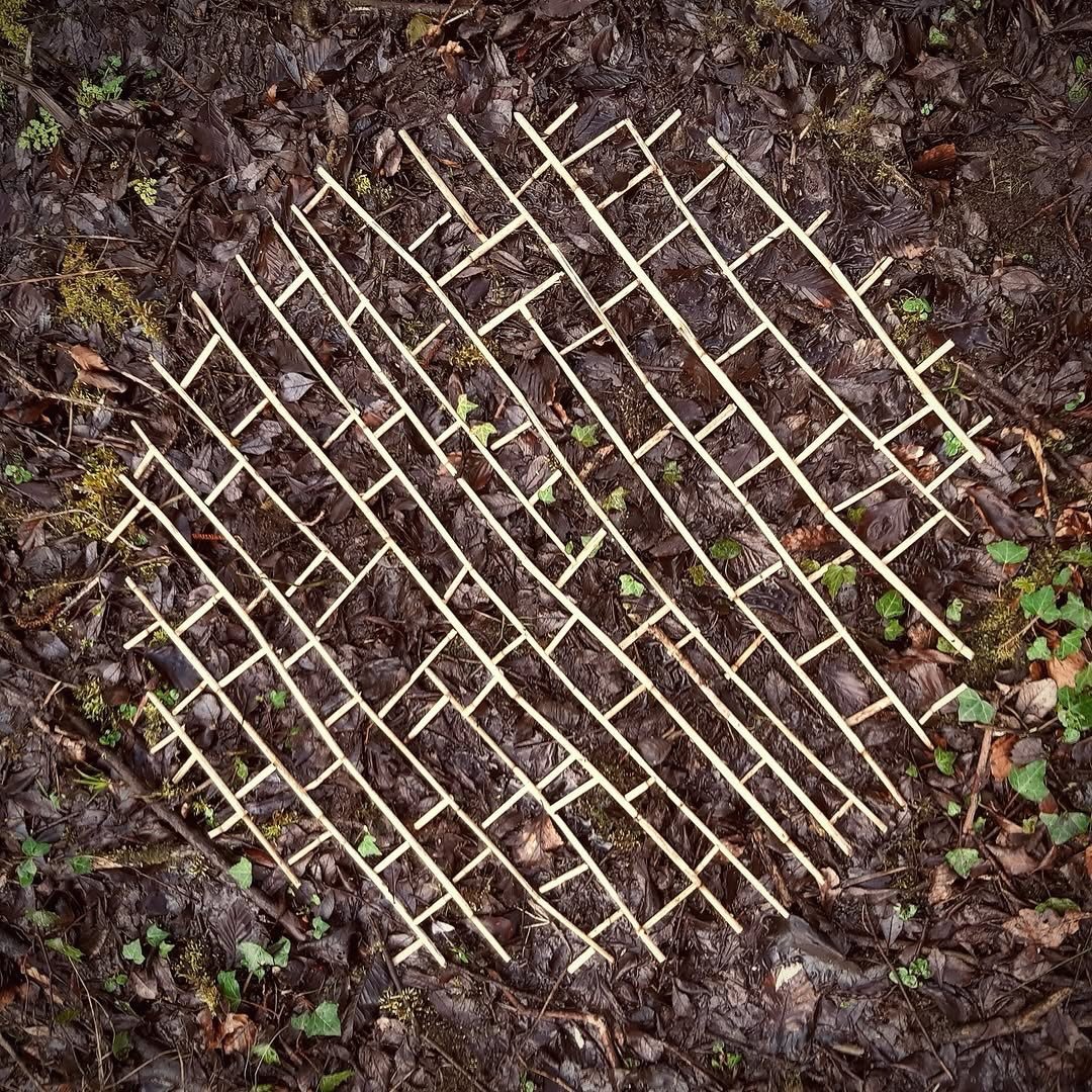 425 RUNG - by @wp_land_art 
DAY 3 Llwybr Cerfluniau Aberlleiniog Sculpture Trail, Llangoed, Anglesey, Wales.
Aberlleiniog Castle Woodland. Reeds. 29th March 2026

&ldquo;In my next piece for the sculpture trail in the series, &lsquo;Holding Hands wit
