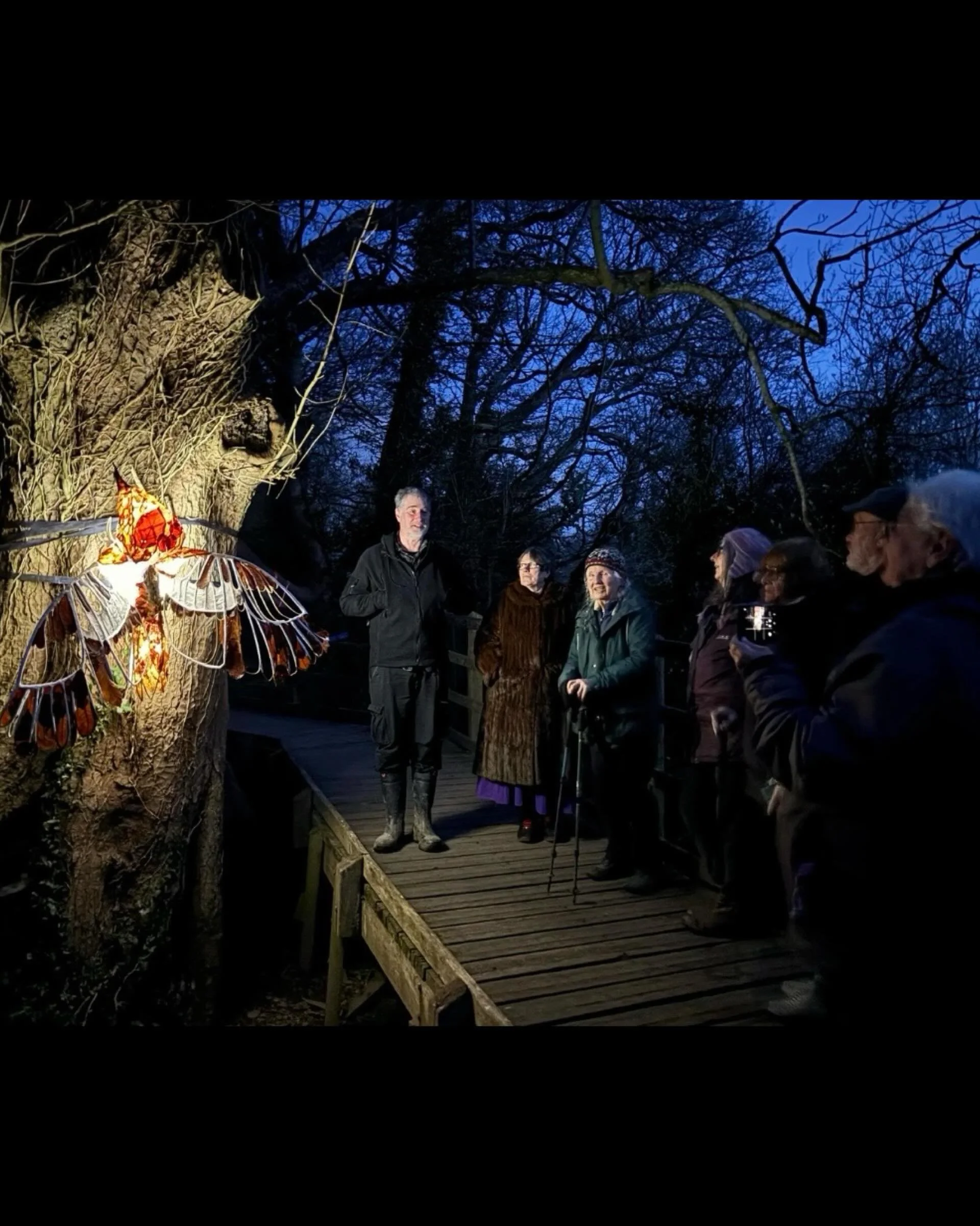 &lsquo;Illuminating Conservation&rsquo; gan Angharad Ffion Martin, Comisiwn a Micro-breswylfa Ymddiriedolaeth Gwiwerod Coch Cymru 2026, menter gan Brosiectau Plas Bodfa

[English in next post]

~ celf newydd wedi&rsquo;i hysbrydoli gan dirwedd, ecole