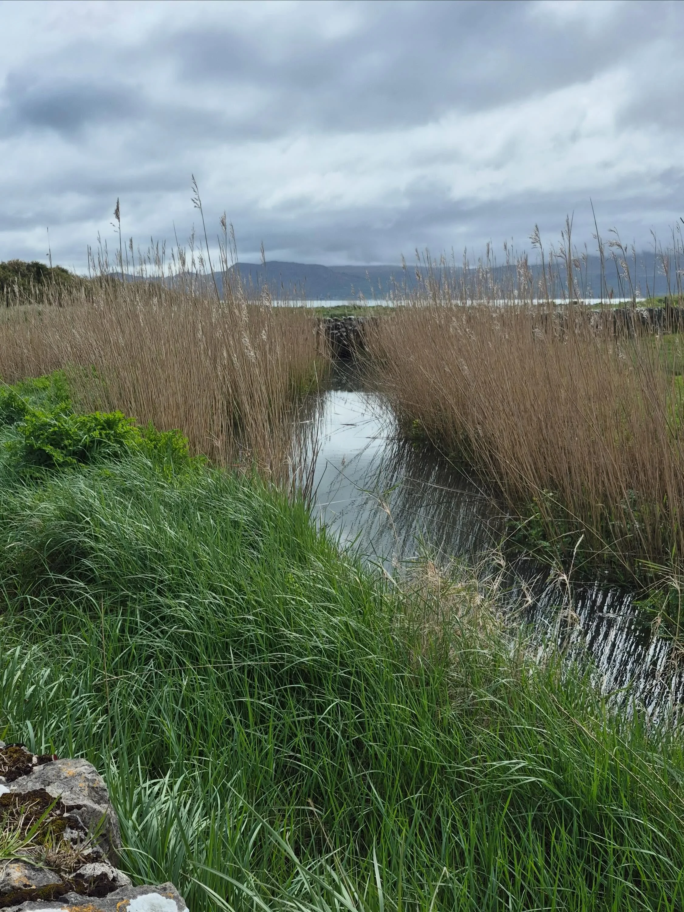 Ysgrifennu&rsquo;r Llif - Writing the Flow&nbsp;&nbsp;&nbsp;&nbsp;
&ldquo;fe wnaethon ni chwerthin, gwrando a dysgu yng nghanol diferion ysgafn yr afon, c&acirc;n adar ffrwydrol ac arogleuon garlleg gwyllt a mwsogl&rdquo;

[English in next post]

Gei