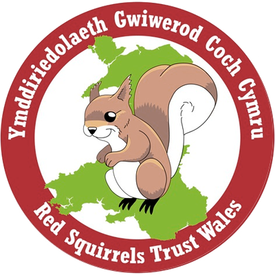 red squirrels logo_circle.png
