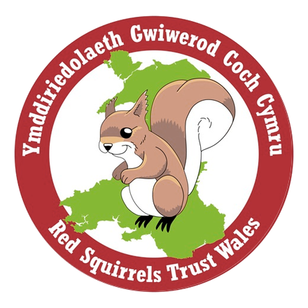 red squirrels logo_square_white.png