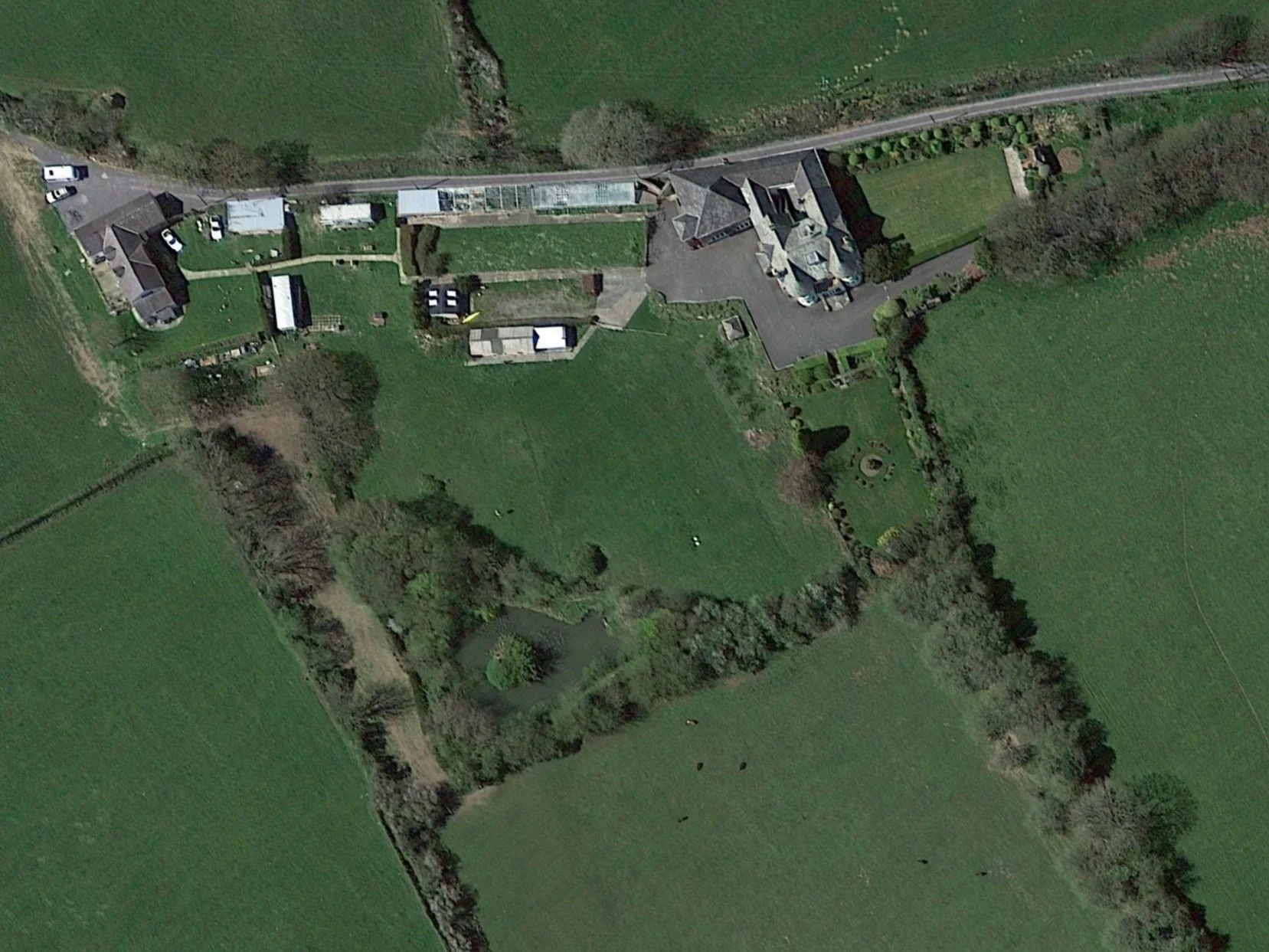 Overhead of Pond location and vegetation.jpg