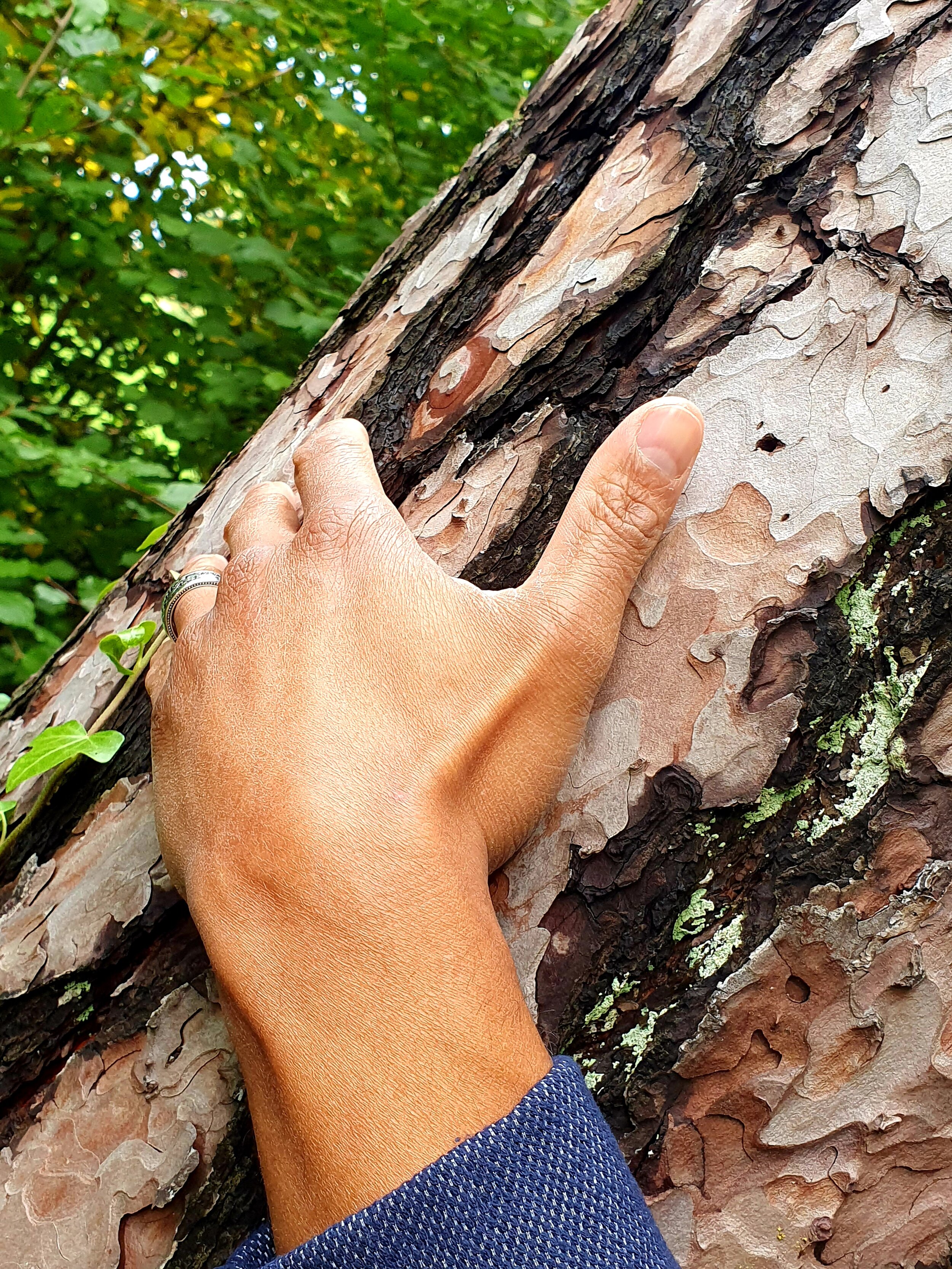 20201011_160533 Rico Hand in der Natur .jpg