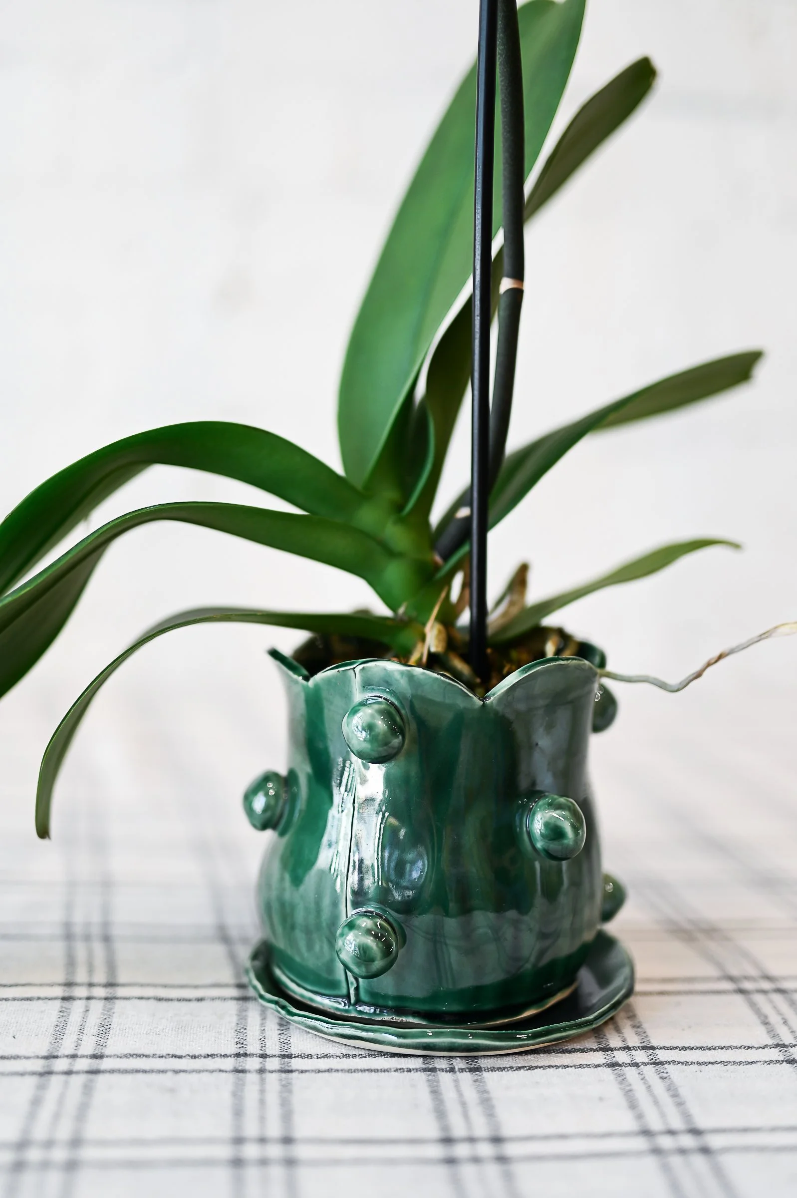 May 11th @ 6pm || Hand building Proper Pots with The Proper House