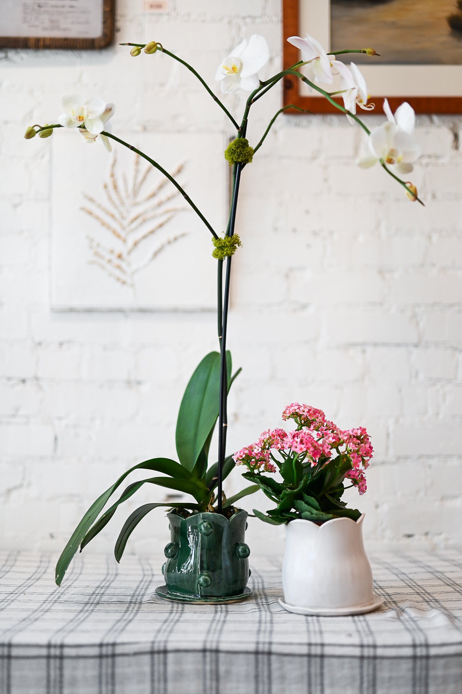 May 11th @2pm || Handbuilding Proper Pots with The Proper House