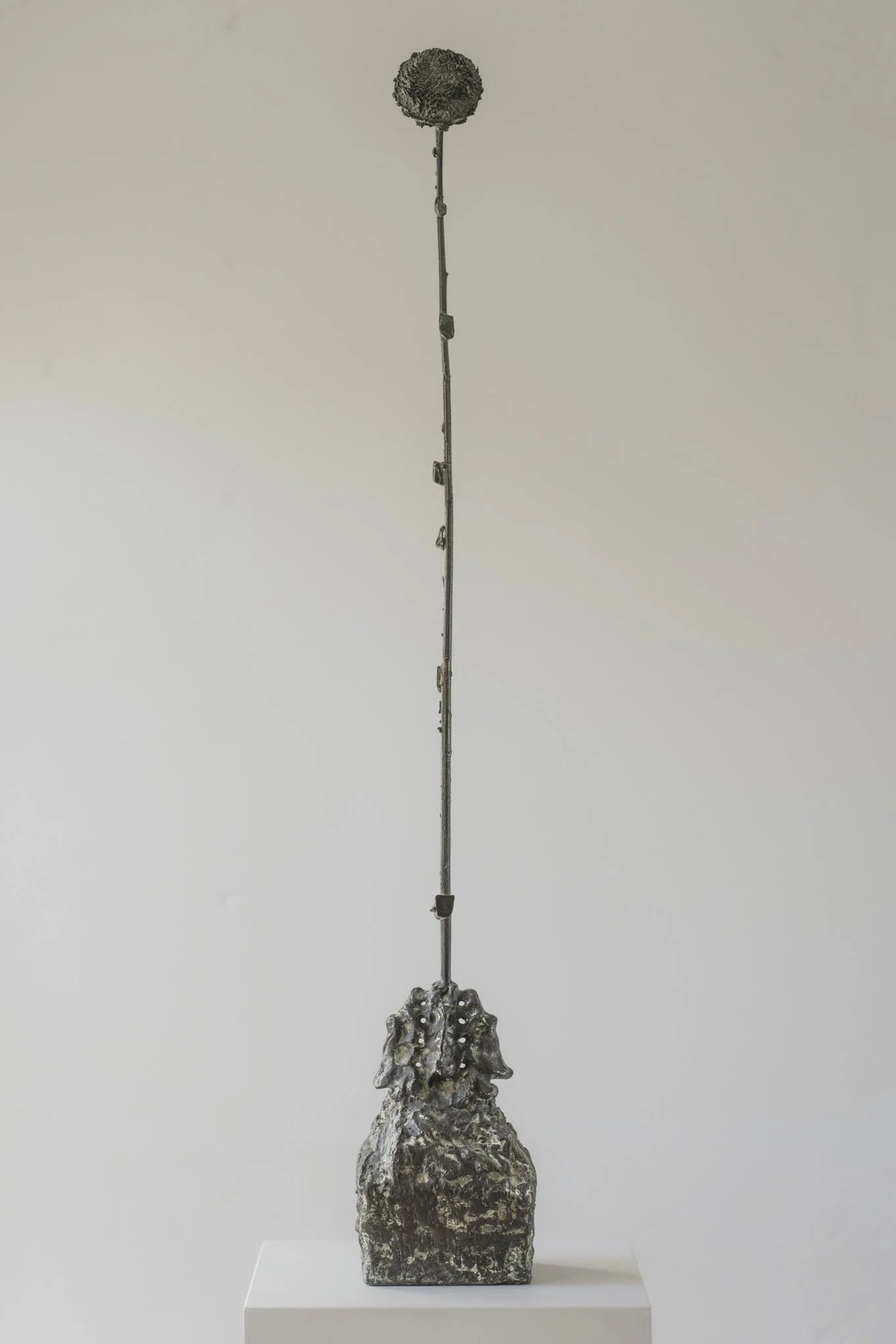 Blossom After Burial