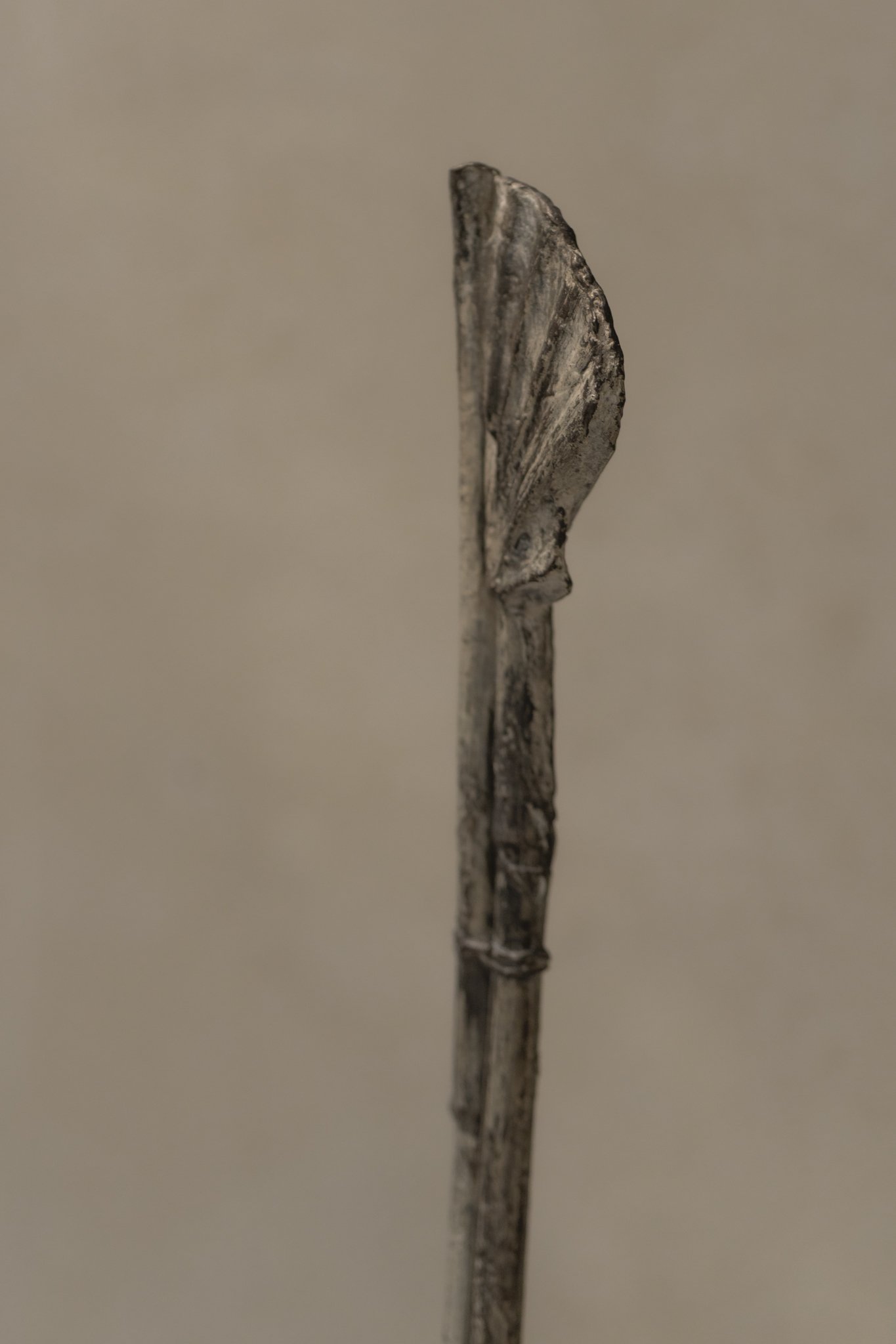 SNY05507.jpg